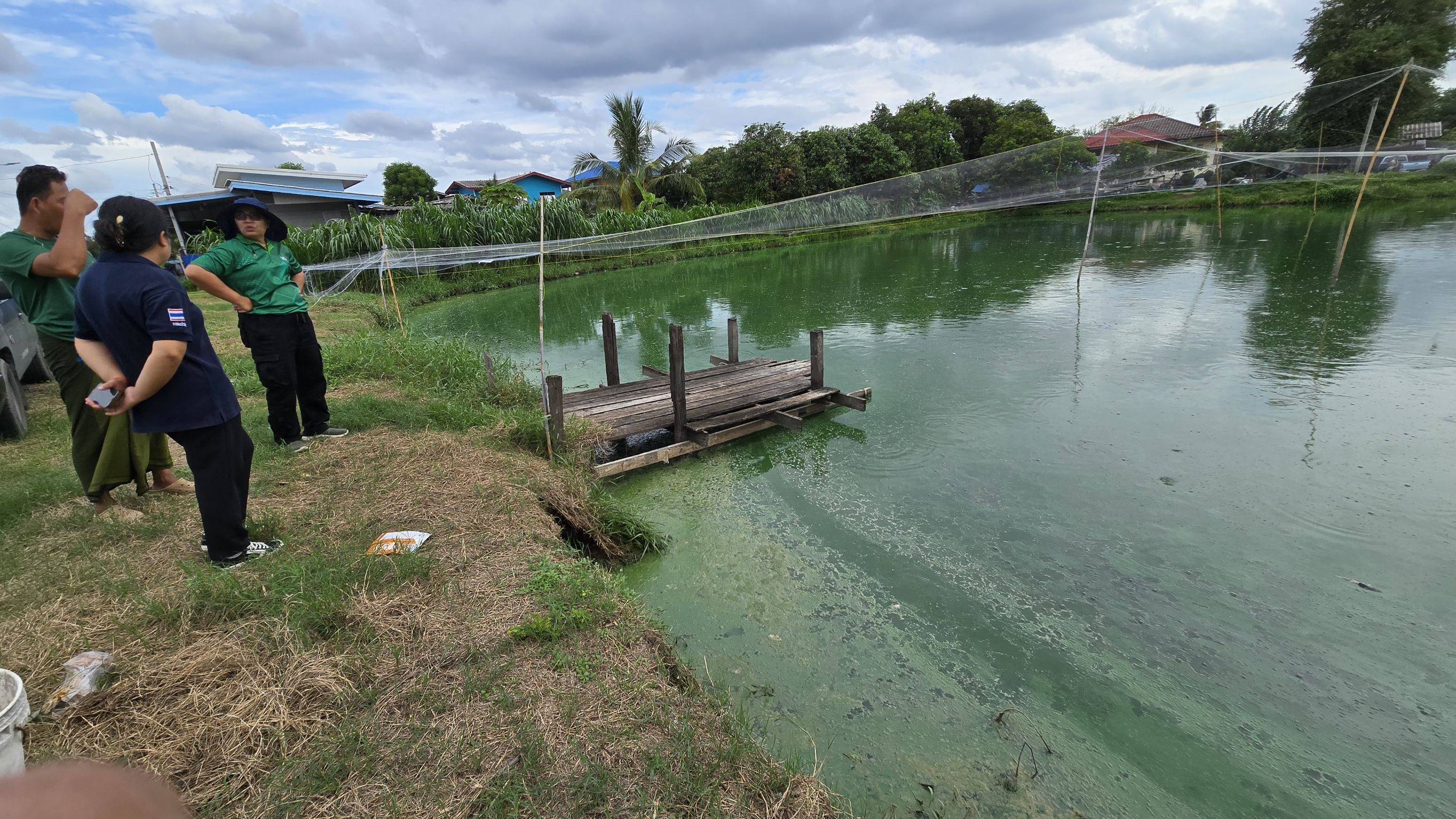 (อ.บางบัวทอง) ลงพื้นที่ตรวจสอบปลาดุกที่ตายในบ่อเลี้ยงของเกษตรกร