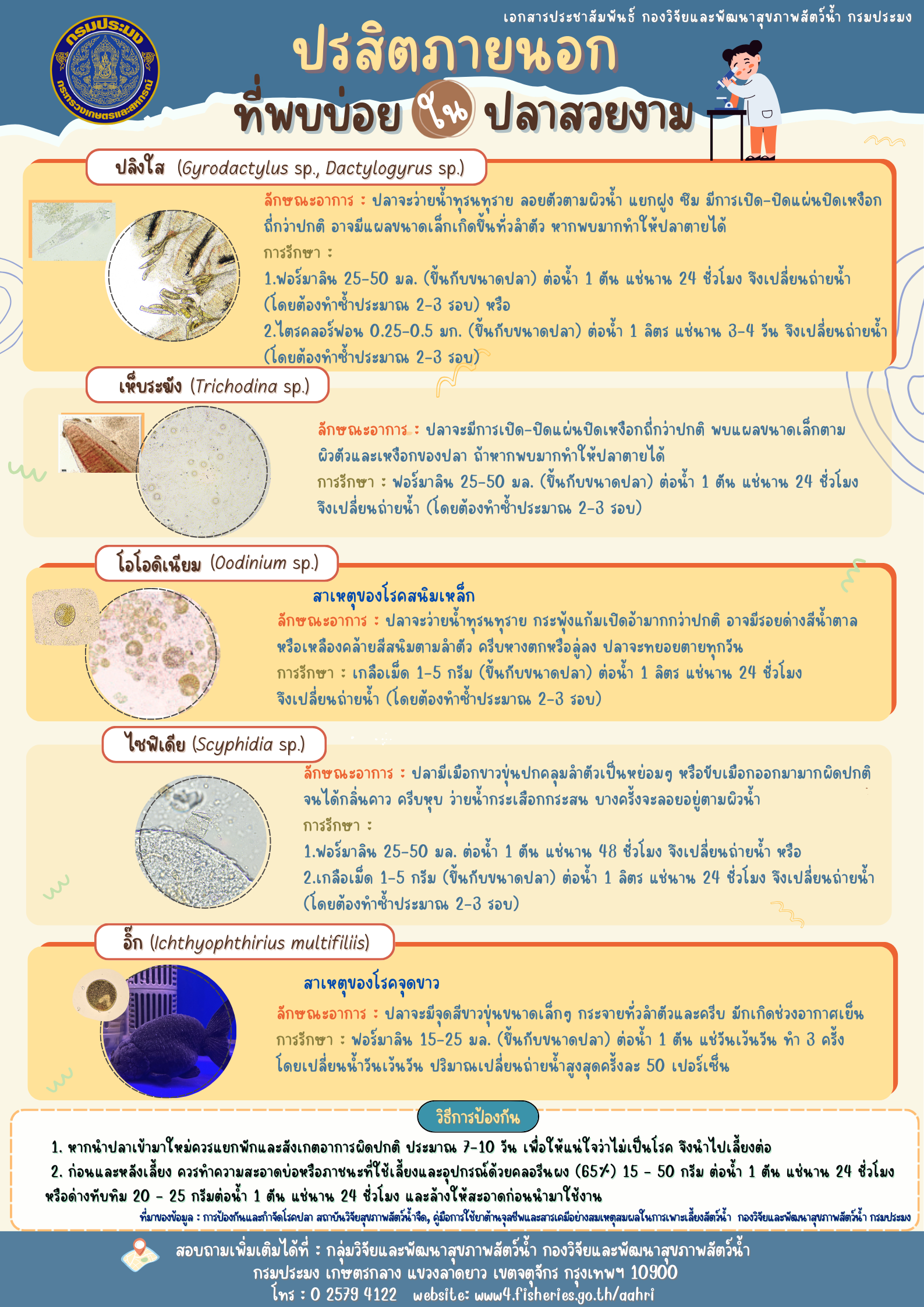 ปรสิตภายนอกที่พบบ่อยในปลาสวยงาม
