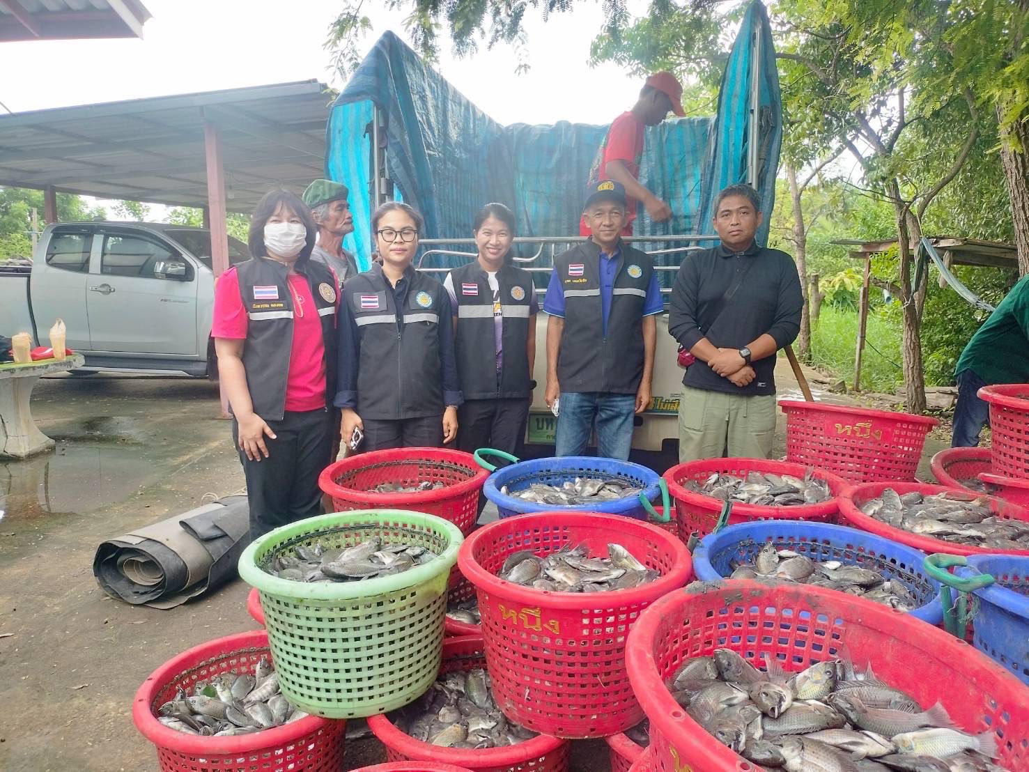 สำนักงานประมงพื้นที่กรุงเทพมหานคร ลงพื้นที่รับซื้อปลาหมอคางดำ ตามโครงการควบคุมและกำจัดประชากรปลาหมอคางดำ ปีงบประมาณ 2568