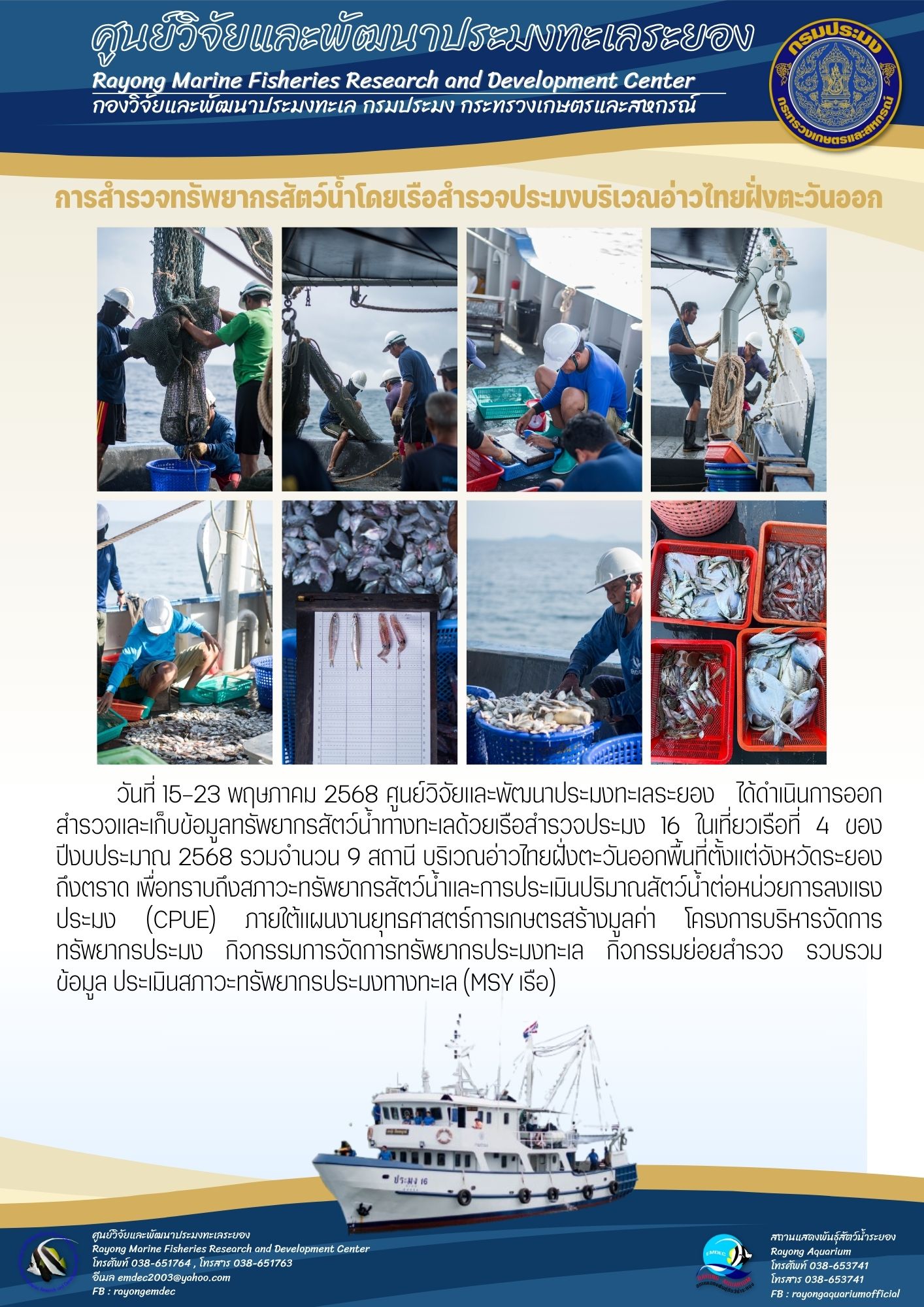 วันที่ 15-23 พฤษภาคม 2568 ศูนย์วิจัยและพัฒนาประมงทะเลระยอง ได้ดำเนินการออกสำรวจและเก็บข้อมูลทรัพยากรสัตว์น้ำท้างทะเลด้วยเรือสำรวจประมง 16 ในเที่ยวเรือที่ 4 ของ ปีงบประมาณ 2568 รวมจำนวน 9 สถานี บริเวณอ่าวไทยฝั่งตะวันออกพื้นที่ตั้งแต่จังหวัดระยอง ถึงตราด เพื่อทราบถึงสภาวะทรัพยากรสัตว์น้ำและการประเมินปริมาณสัตว์น้ำต่อหน่วยการลงแรงประมง (CPUE) ฯลฯ