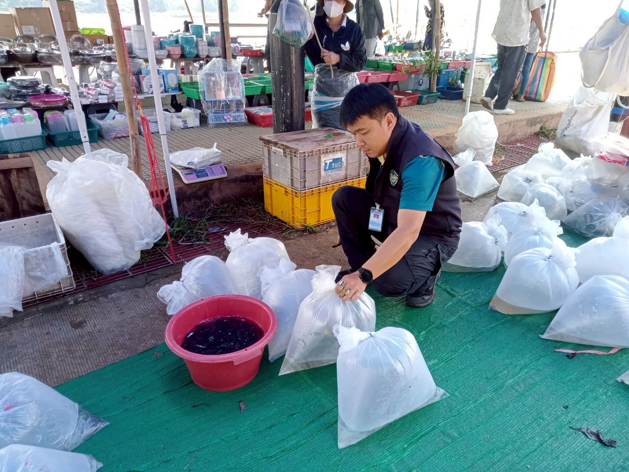 เจ้าหน้าที่ศูนย์บริหารจัดการด่านตรวจประมง เขต 1 (เชียงราย) ตรวจสอบสินค้าสัตว์น้ำส่งออกไปยังสาธารณรัฐประชาธิปไตยประชาชนลาว..คลิก
