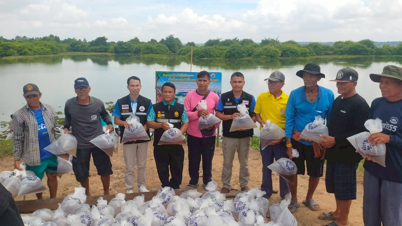 การร่วมกิจกรรมปล่อยพันธุ์กุ้งกรามกราม โครงการเขื่อนราษีไศล จังหวัดศรีสะเกษ กิจกรรมผลิตและปล่อยพันธุ์สัตว์น้ำ ประจำปีงบประมาณ 2568 ณ บริเวณแม่น้ำมูล (ลำห้วยทับทัน) บ้านห้วย หมู่ที่ 3 ตำบลบัวหุ่ง อำเภอราศีไศล จังหวัดศรีสะเกษ