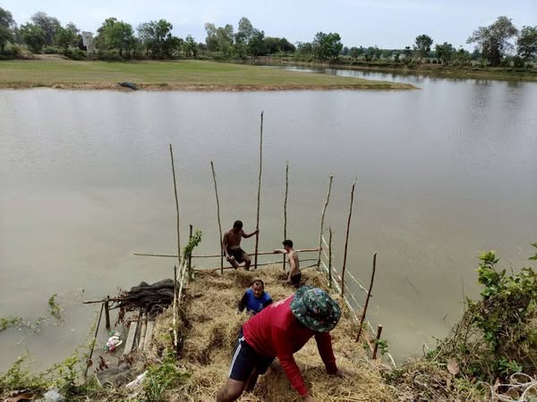 เตรียมความพร้อมก่อนปล่อยพันธุ์สัตว์น้ำ ณ หนองบัว..คลิก