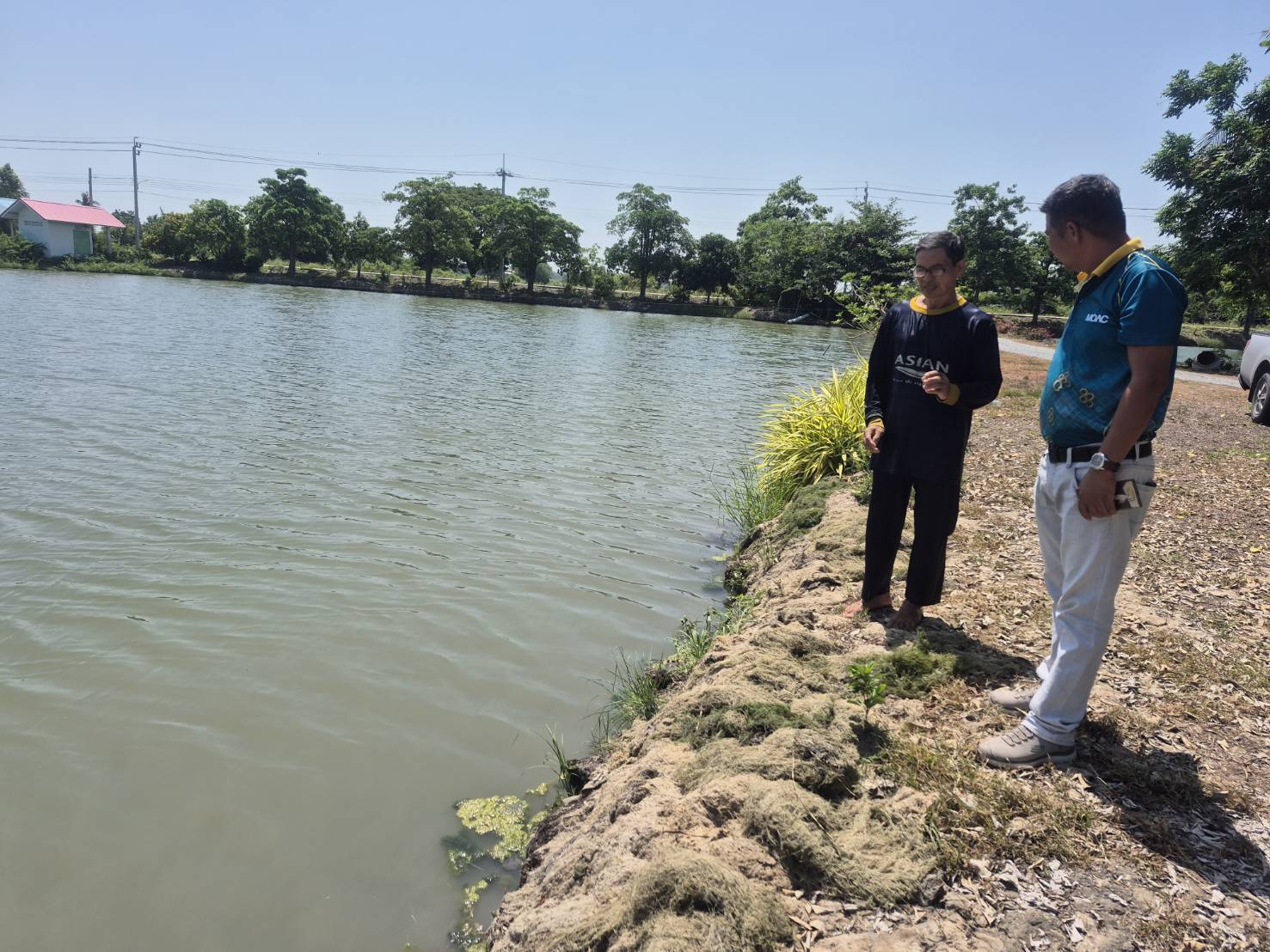 (อ.ไทรน้อย) ตรวจเยี่ยมเกษตรกรผู้เพาะเลี้ยงสัตว์น้ำควบคุมประเภทกุ้งทะเล..คลิก