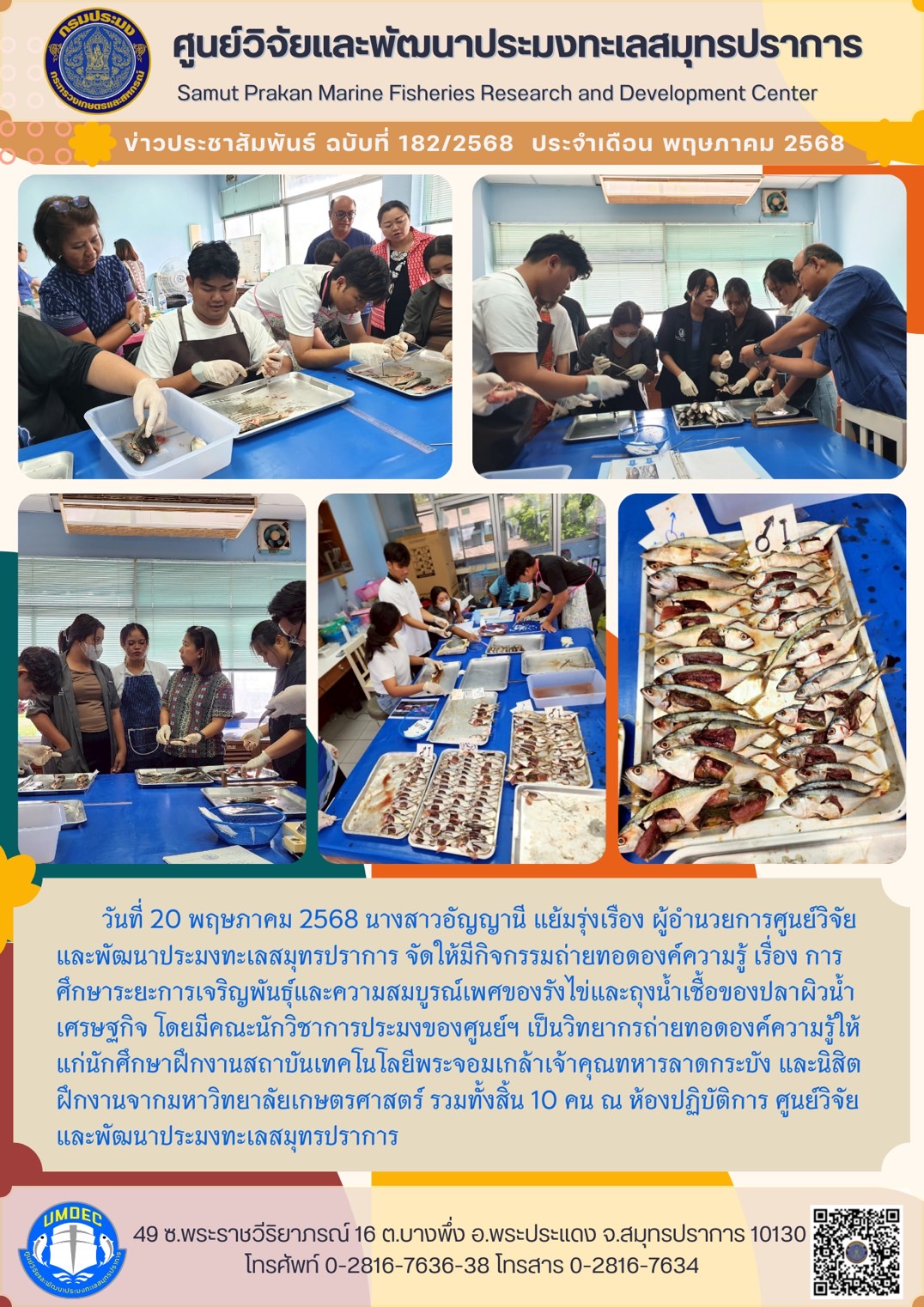 วันที่ 20 พฤษภาคม 2568 นางสาวอัญญานี แย้มรุ่งเรือง ผู้อำนวยการศูนย์วิจัยและพัฒนาประมงทะเลสมุทรปราการ จัดให้มีกิจกรรมถ่ายทอดองค์ความรู้ เรื่อง การ ศึกษาระยะการเจริญพันธุ์และความสมบูรณ์เพศของรังไข่และถุงน้ำเชื่อของปลาผิวน้ำเศรษฐกิจ โดยมีคณะนักวิชาการประมงของศูนย์ฯ ฯลฯ