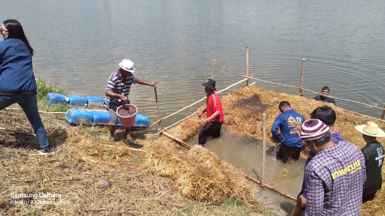 เตรียมความพร้อมในการปล่อยพันธุ์สัตว์น้ำหนองซำชะอม และหนองโคน..คลิก