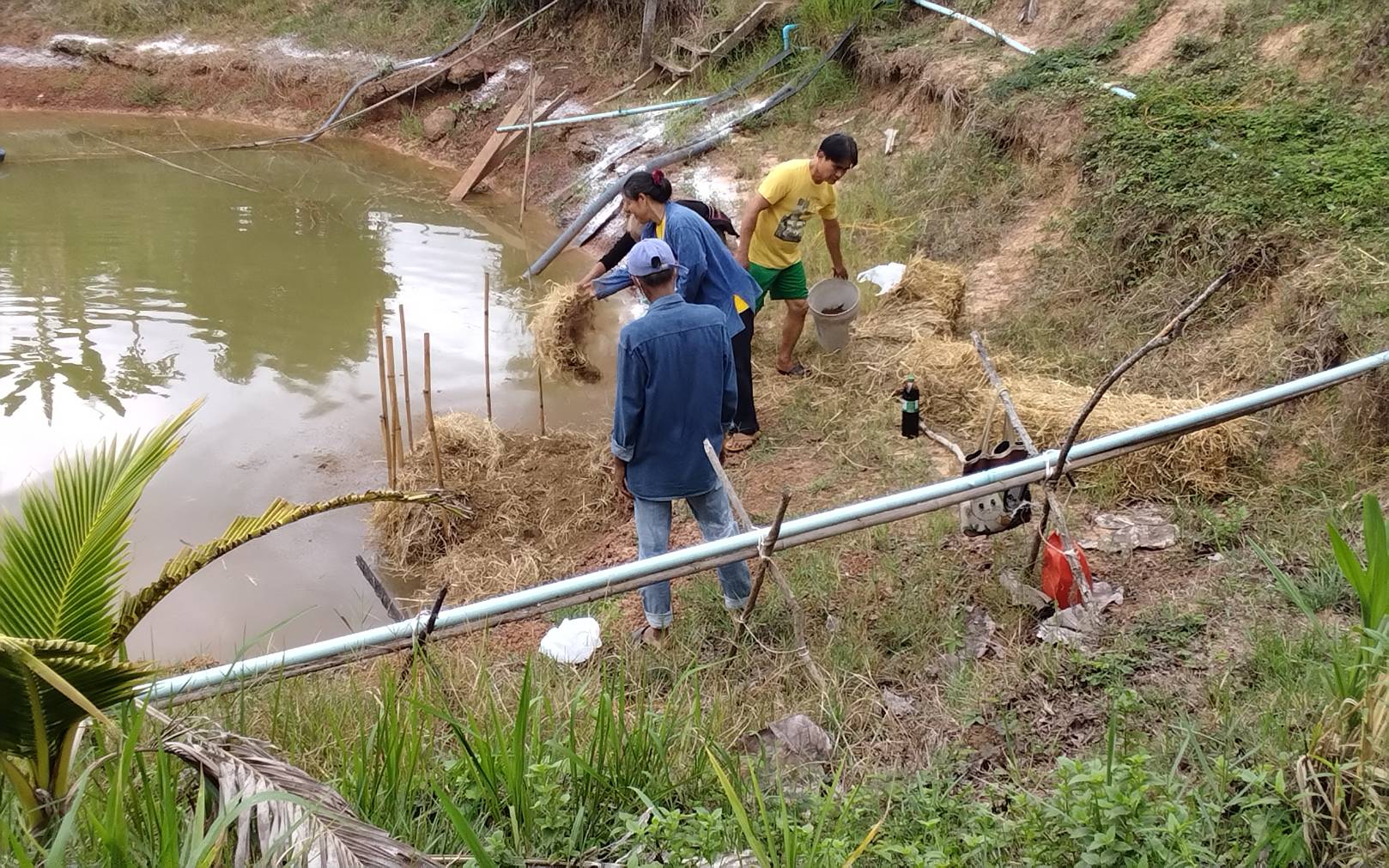 จัดอบรมเกษตรกรส่งเสริมการเลี้ยงปลาตะเพียนขาวในบ่อดินพื้นที่อำเภอน้ำเกลี้ยง..คลิก