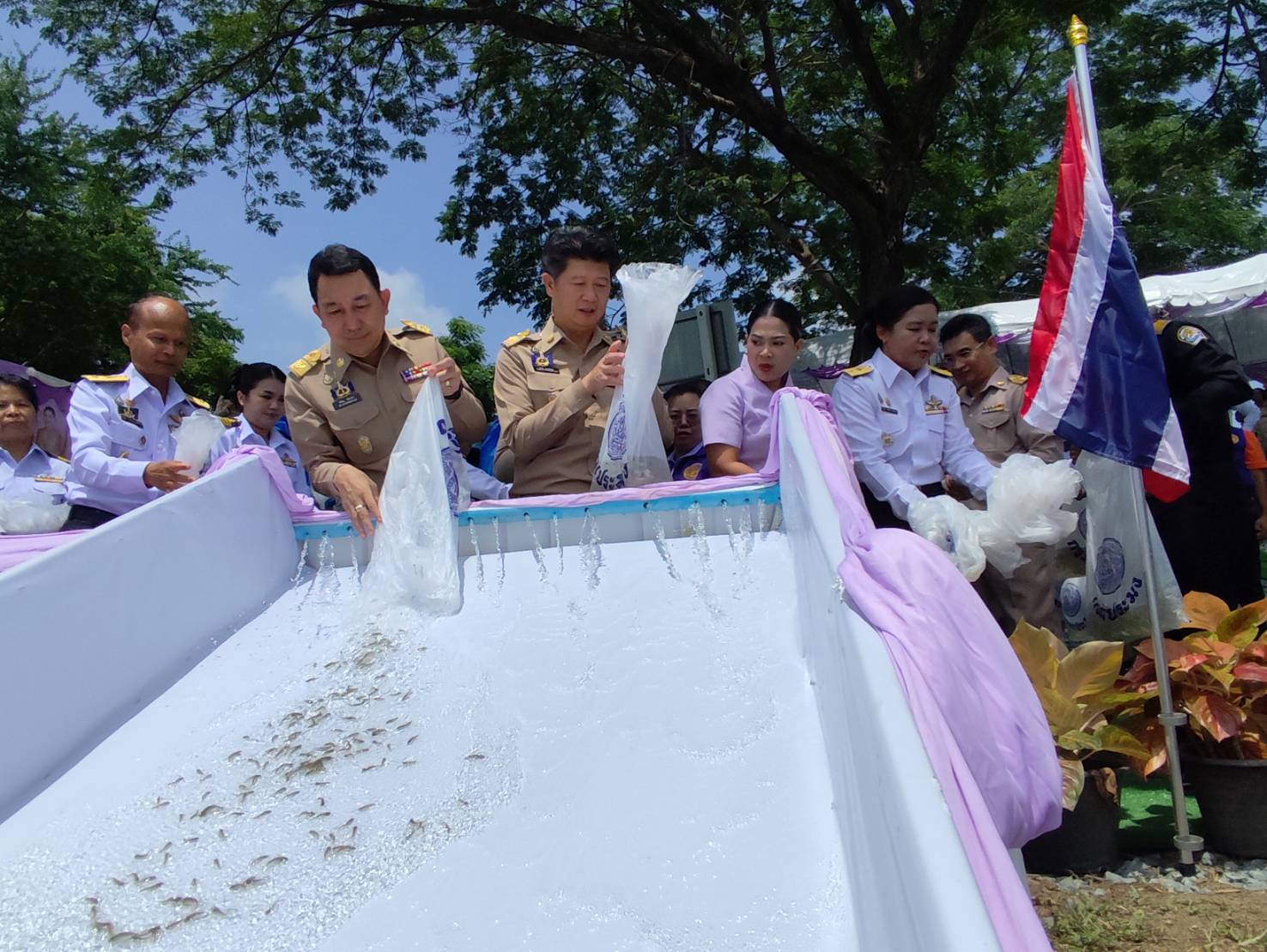 จังหวัดเพชรบูรณ์ จัดพิธีปล่อยพันธุ์สัตว์น้ำ  เนื่องในวันคล้ายวันเฉลิมพระชนมพรรษา สมเด็จพระนางเจ้าฯ พระบรมราชินี  ครั้งที่ 2 ณ แหล่งน้ำสาธารณะบึงกระจับ