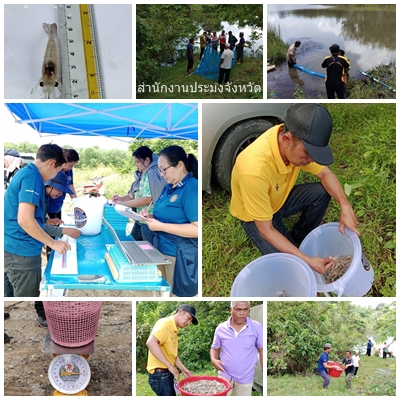 ผลการปฏิบัติงานประจำวันพฤหัสบดีที่ 5 มิถุนายน 2568