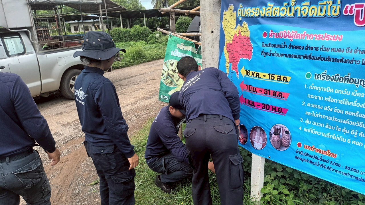 วันที่ 29 พฤษภาคม 2568 ดำเนินการติดป้ายประชาสัมพันธ์ประกาศกรมประมงเรื่อง กำหนดพื้นที่และระยะเวลาฤดูสัตว์น้ำจืดมีไข่ หรือวางไข่ เลี้ยงตัวอ่อน..คลิก