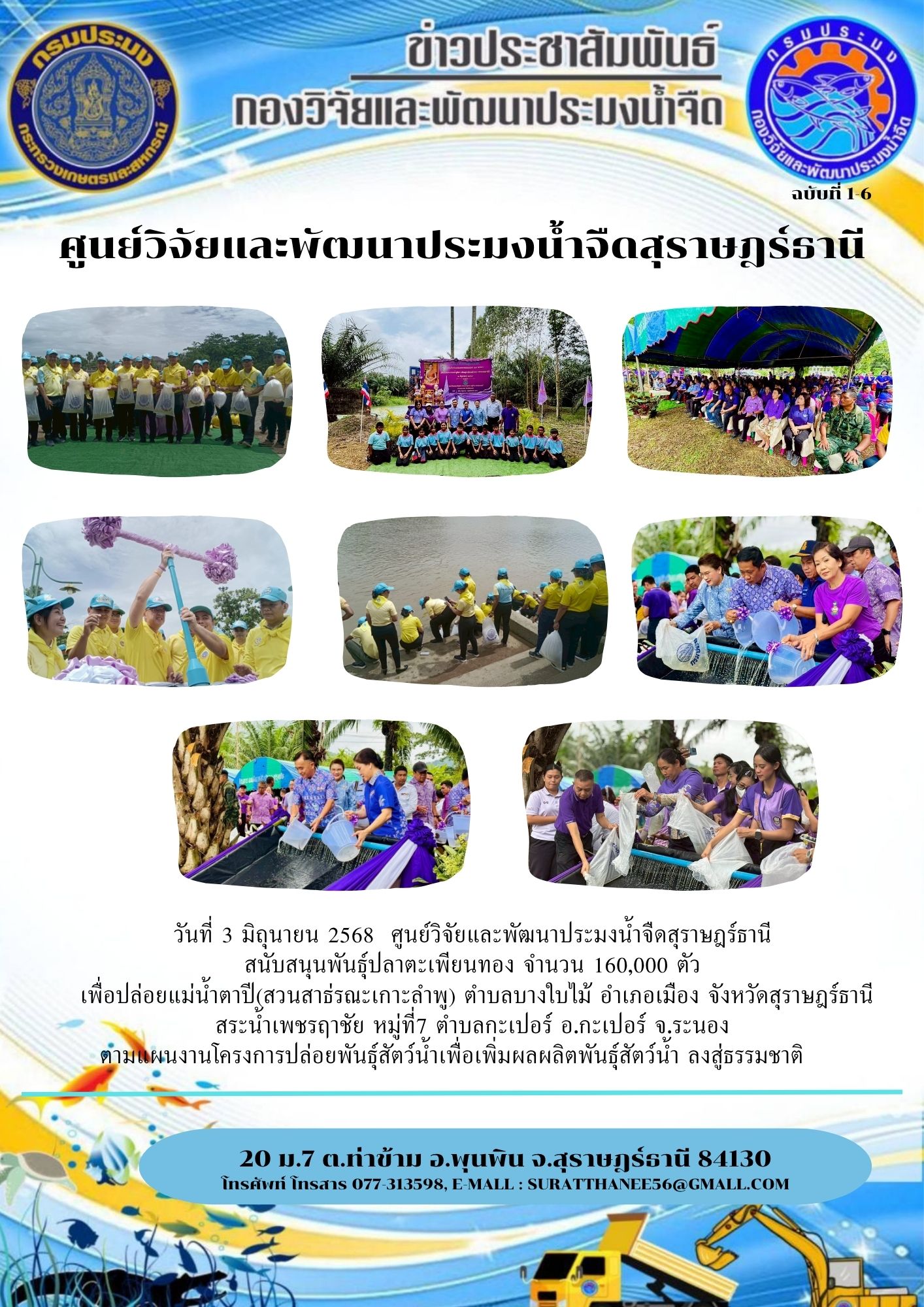วันที่ 3 มิถุนายน 2568  ศูนย์วิจัยและพัฒนาประมงน้ำจืดสุราษฎร์ธานี สนับสนุนพันธุ์ปลาตะเพียนทอง จำนวน 160,000 ตัว  เพื่อปล่อยแม่น้ำตาปี(สวนสาธ่รณะเกาะลำพู) ตำบลบางใบไม้ อำเภอเมือง จังหวัดสุราษฎร์ธานี สระน้ำเพชรฤาชัย หมู่ที่7 ตำบลกะเปอร์ อ.กะเปอร์ จ.ระนอง ตามแผนงานโครงการปล่อยพันธุ์สัตว์น้ำเพื่อเพิ่มผลผลิตพันธุ์สัตว์น้ำ ลงสู่ธรรมชาติ..คลิก