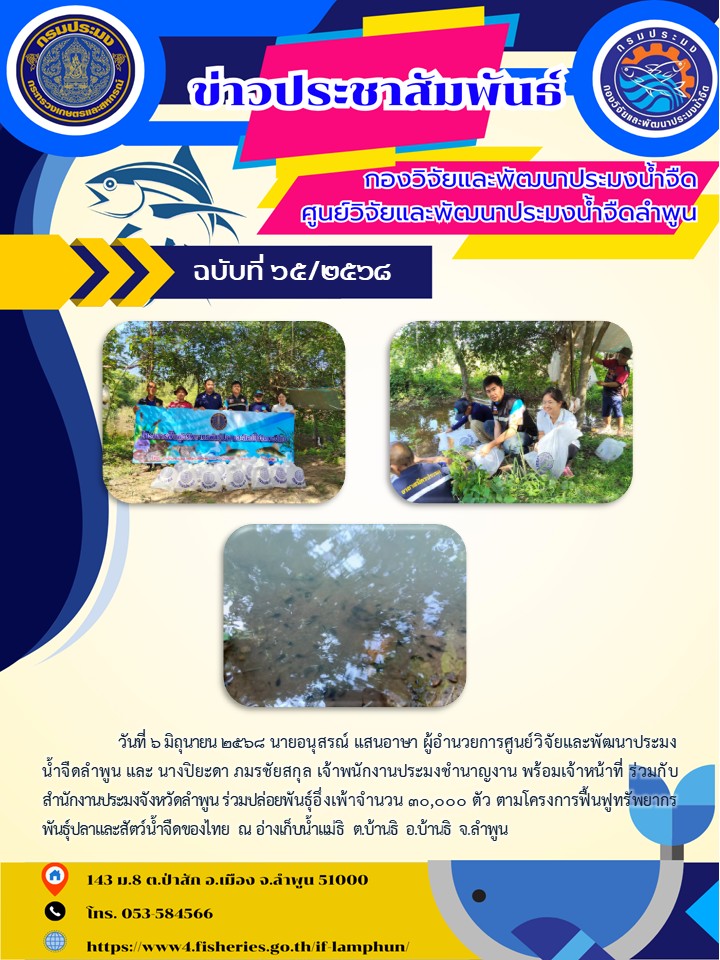 วันที่ 6 มิถุนายน 2568 นายอนุสรณ์ แสนอาษา ผู้อำนวยการศูนย์วิจัยและพัฒนาประมงน้ำจืดลำพูน และ นางปิยะดา ภมรชัยสกุล เจ้าพนักงานประมงชำนาญงาน พร้อมเจ้าหน้าที่ ร่วมกับสำนักงานประมงจังหวัดลำพูน ร่วมปล่อยพันธุ์อึ่งเพ้าจำนวน 30,000 ตัว..คลิก