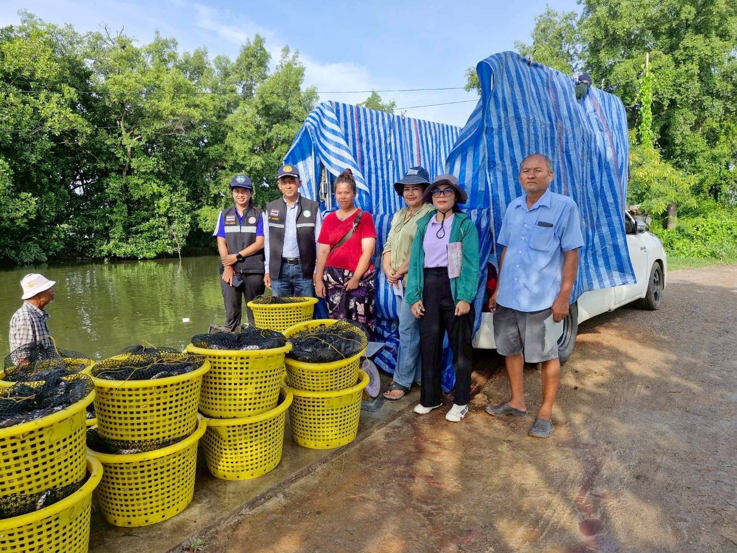 สำนักงานประมงพื้นที่กรุงเทพมหานคร ลงพื้นที่รับซื้อปลาหมอคางดำ ตามโครงการควบคุมและกำจัดประชากรปลาหมอคางดำ ปีงบประมาณ 2568