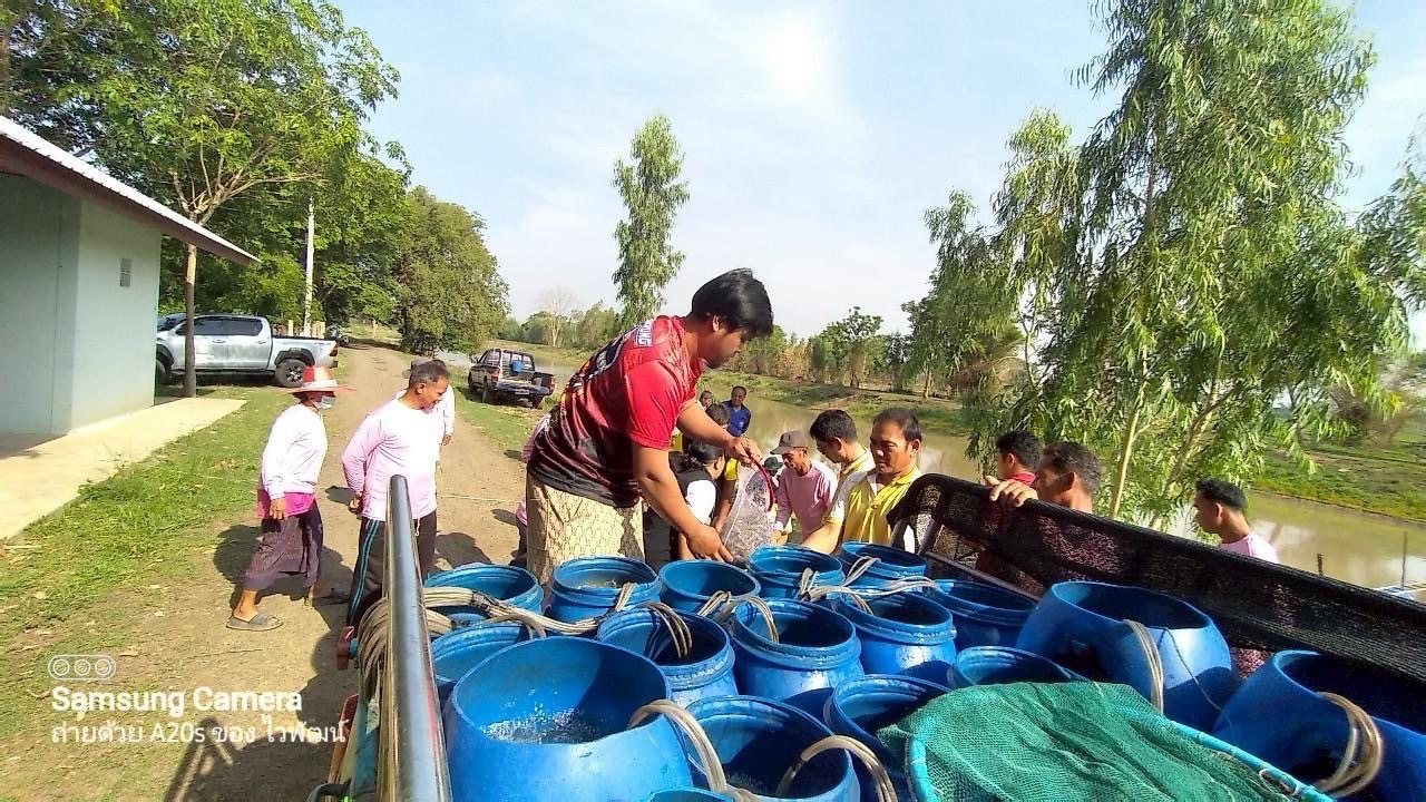 “ประมงจังหวัดศรีสะเกษ ปล่อยพันธุ์กุ้งก้ามกราม โครงการบริหารจัดการทรัพยากรประมง กิจกรรมบริหารจัดการทรัพยากรประมงน้ำจืด”..คลิก