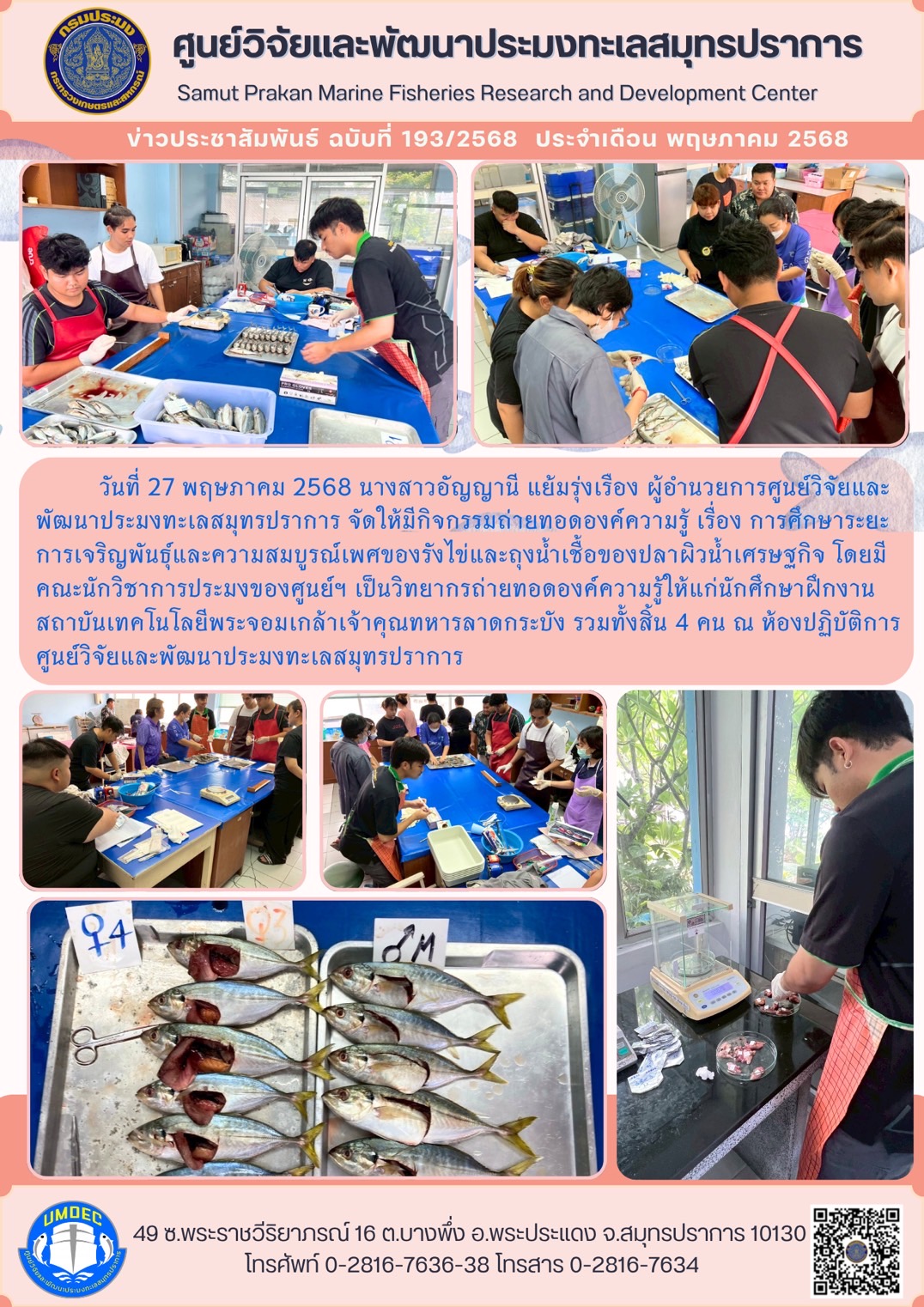 วันที่ 27 พฤษภาคม 2568 นางสาวอัญญานี แย้มรุ่งเรือง ผู้อำนวยการศูนย์วิจัยและพัฒนาประมงทะเลสมุทรปราการ จัดให้มีกิจกรรมถ่ายทอดองค์ความรู้ เรื่อง การศึกษาระยะการเจริญพันธุ์และความสมบูรณ์เพศของรังไข่และถุงน้ำเชื้อของปลาผิวน้ำเศรษฐกิจ โดยมีนักวิชาการประมงของศูนย์ฯ ฯลฯ