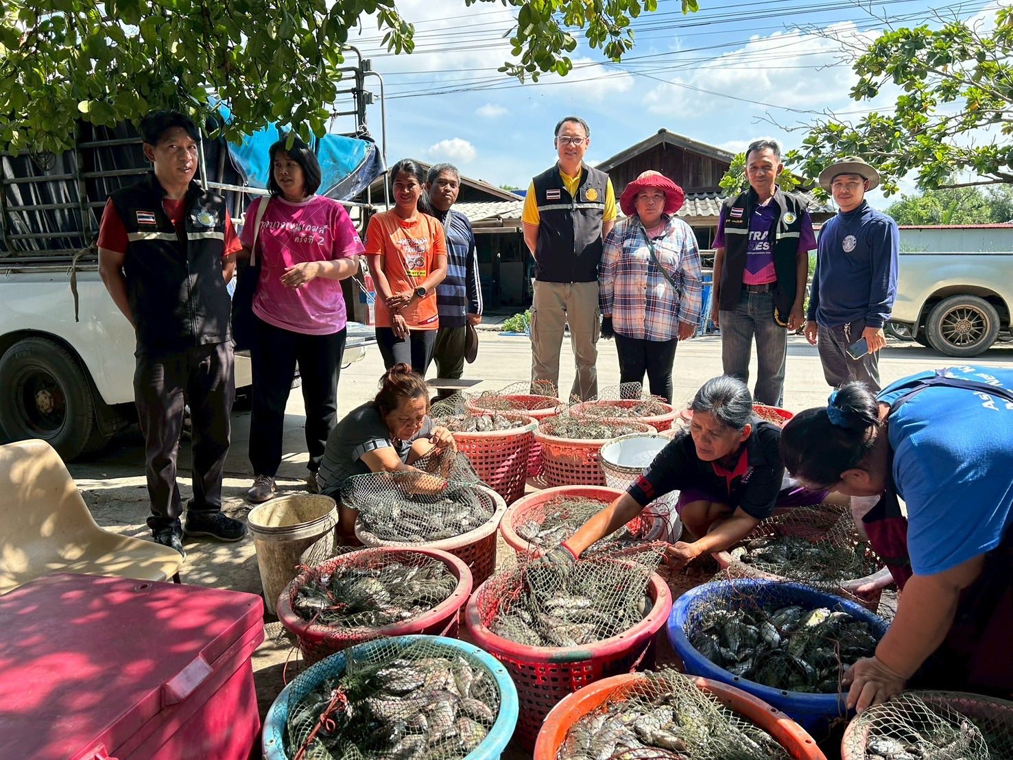 สำนักงานประมงพื้นที่กรุงเทพมหานคร ลงพื้นที่รับซื้อปลาหมอคางดำ ตามโครงการควบคุมและกำจัดประชากรปลาหมอคางดำ ปีงบประมาณ 2568
