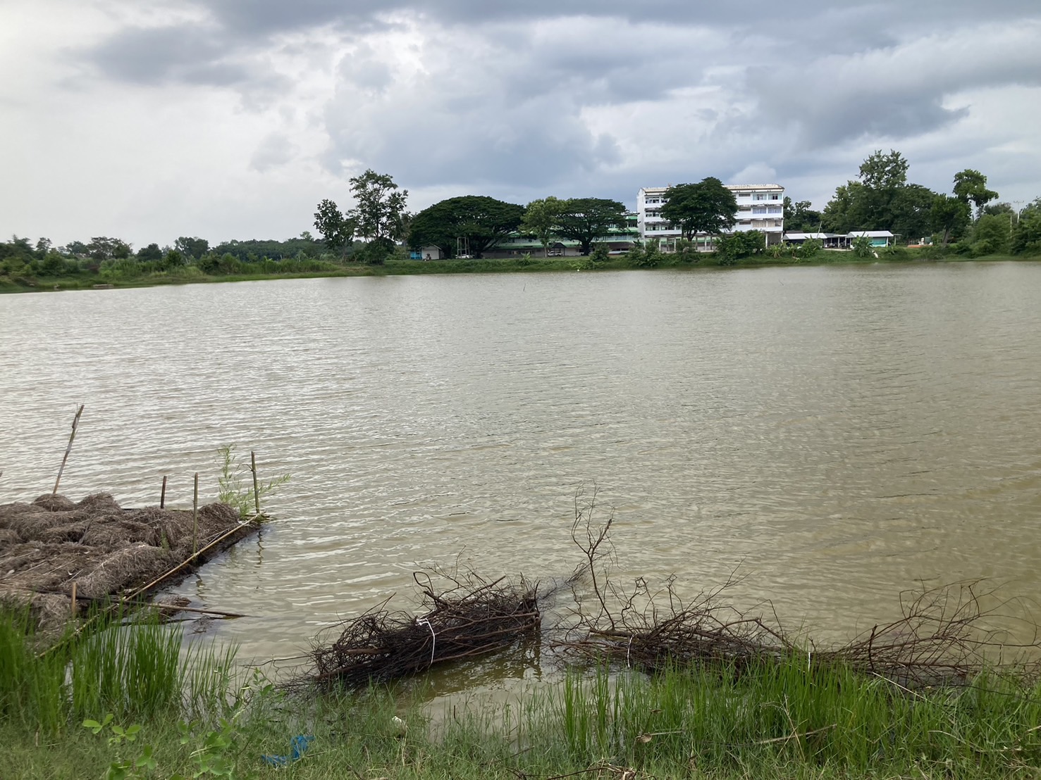 ดำเนินการประเมินปริมาณสัตว์น้ำต่อหน่วยลงประมง (CPUE) แหล่งน้ำหนองพล็อง..คลิก