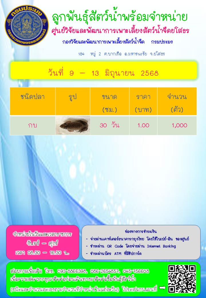 ลูกพันธุ์สัตว์น้ำพร้อมจำหน่าย 9 - 13 มิ.ย. 2568