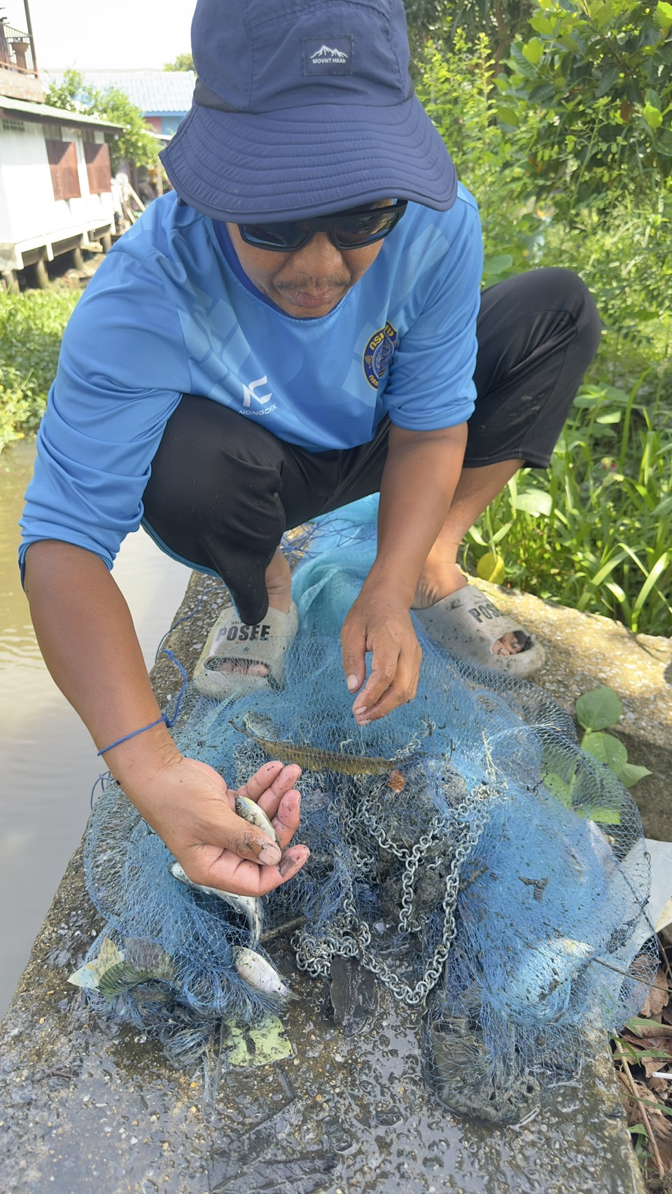 (อ.บางกรวย) การแก้ไขปัญหาการแพร่ระบาดของปลาหมอคางดำ จังหวัดนนทบุรี