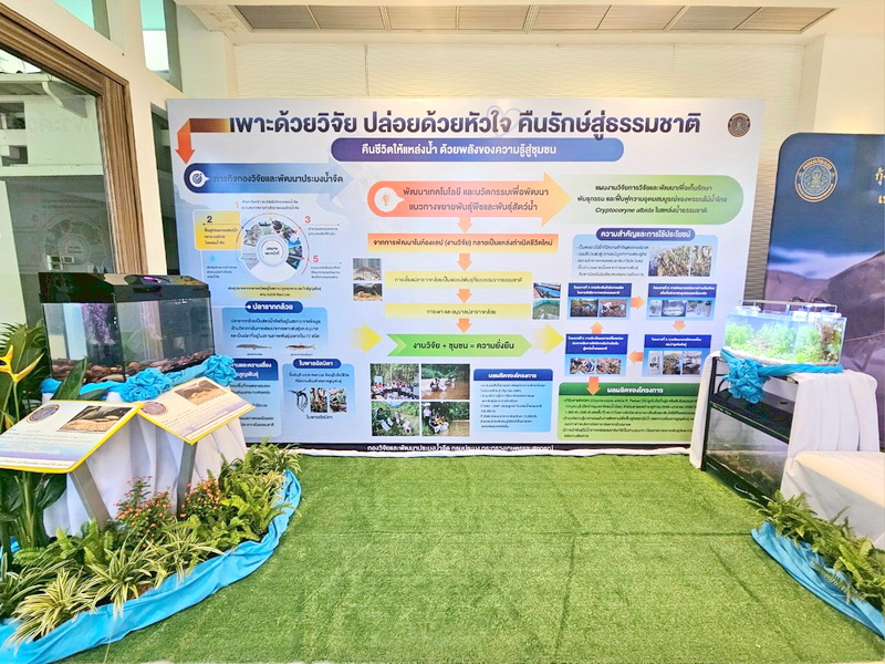 รูป ประกอบบทความ10
