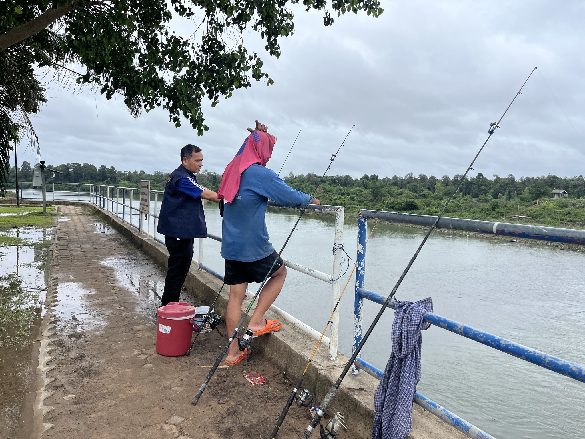 ประมงจังหวัดศรีสะเกษ ปิดป้ายประชาสัมพันธ์ “ห้ามจับสัตว์น้ำฤดูน้ำแดง”..คลิก