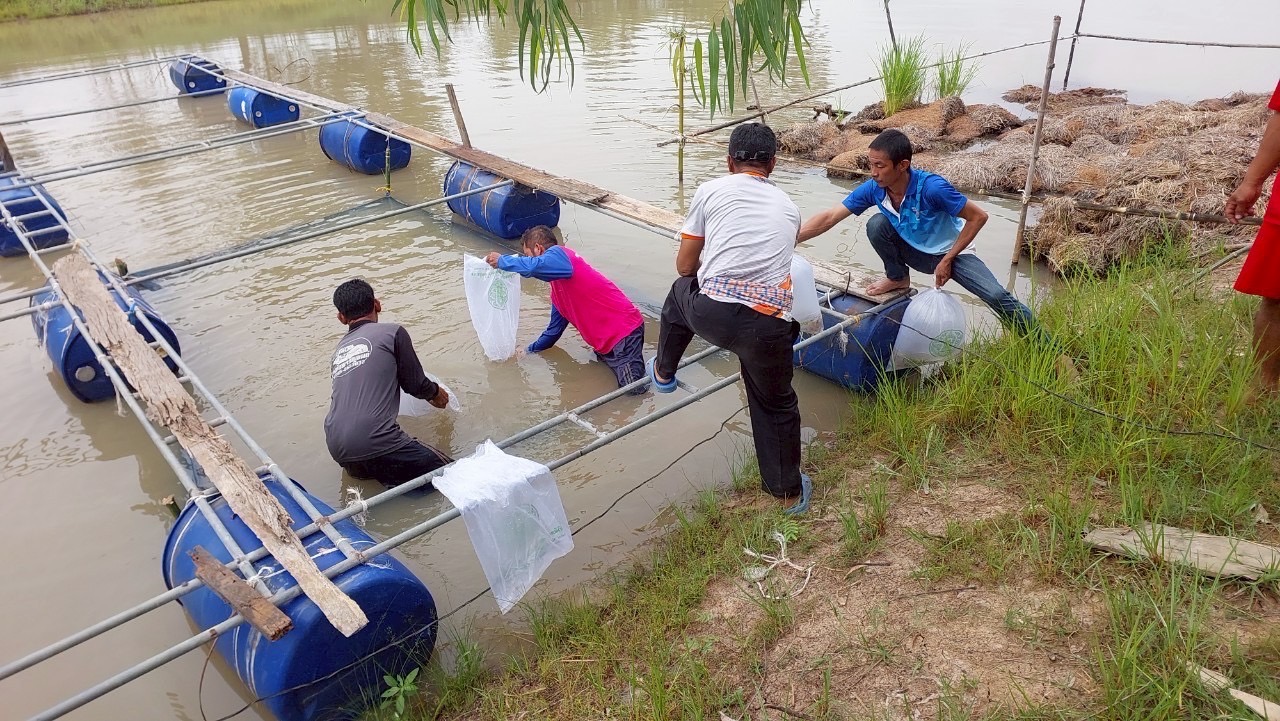 ตรวจรับพัสดุงานจัดซื้อพันธุ์กุ้งก้ามกราม โครงการบริหารจัดการทรัพยากรประมง..คลิก
