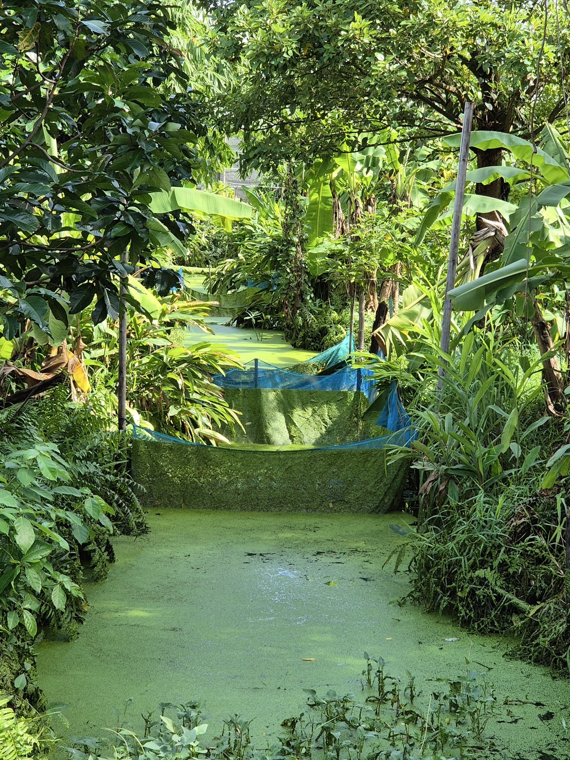 (อ.บางกรวย) ติดตามเกษตรกร ศพก. เครือข่ายด้านการประมง และติดตามสถานการณ์น้ำ..คลิก