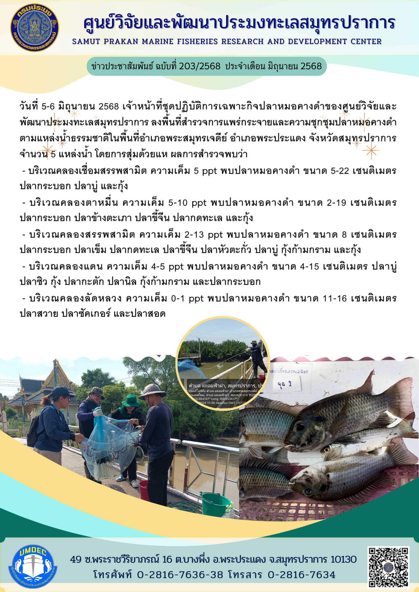 เจ้าหน้าที่ชุดปฏิบัติการเฉพาะกิจปลาหมอคางดำของศูนย์วิจัยและพัฒนาประมงทะเลสมุทรปราการ ลงพื้นที่สำรวจการแพร่กระจายและความชุกชุมปลาหมอคางดำตามแหล่งน้ำธรรมชาติในพื้นที่อำเภอพระสมุทรเจดีย์ อำเภอพระประแดง จังหวัดสมุทรปราการ..คลิก
