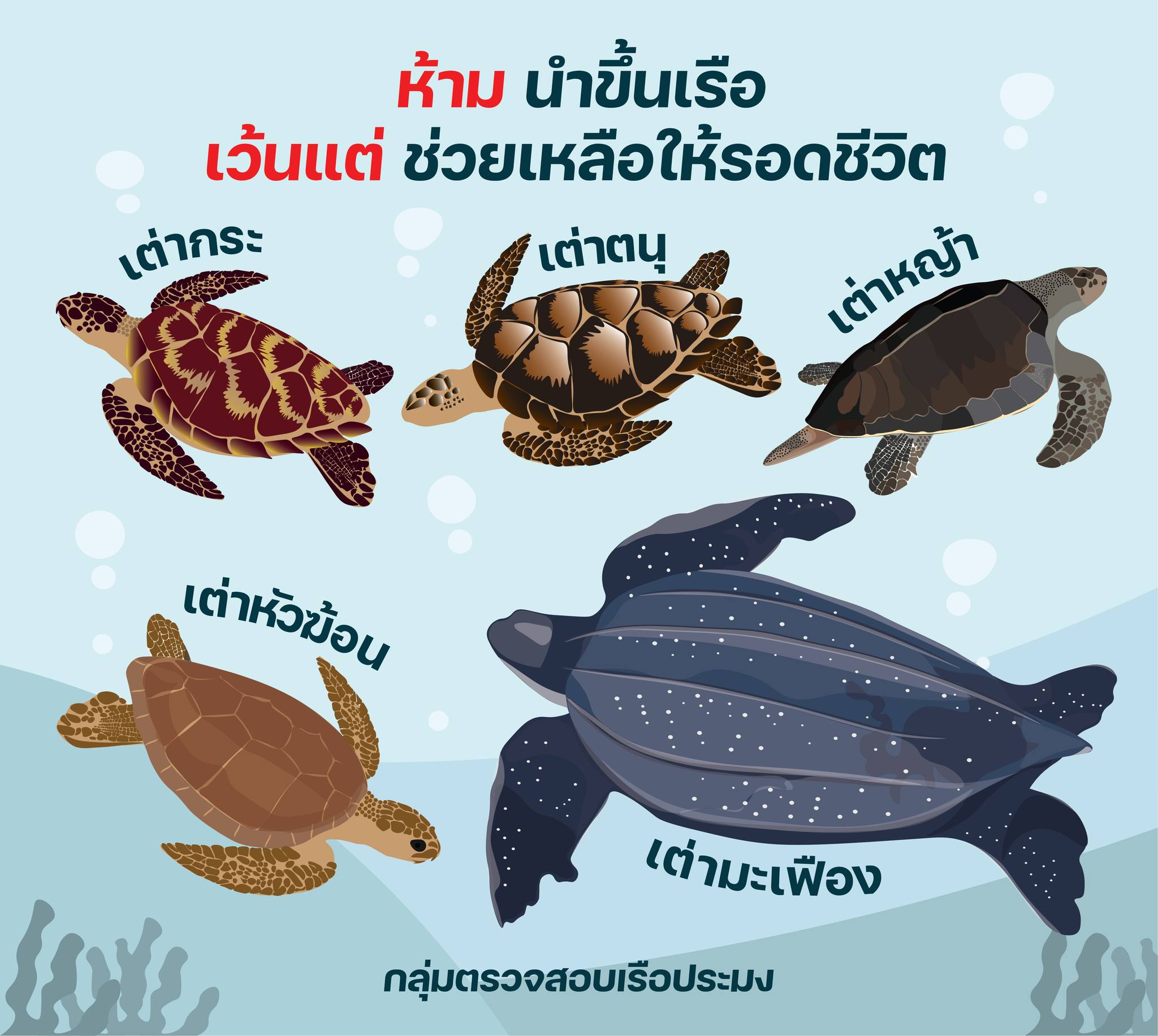 สัตว์ทะเลหายาก 