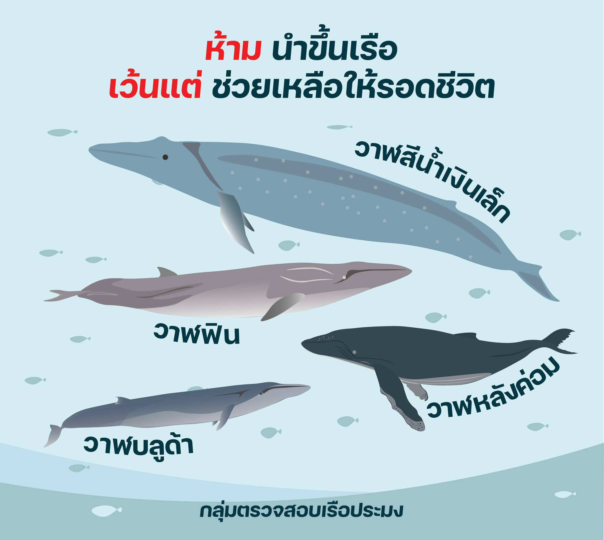 สัตว์ทะเลหายาก 