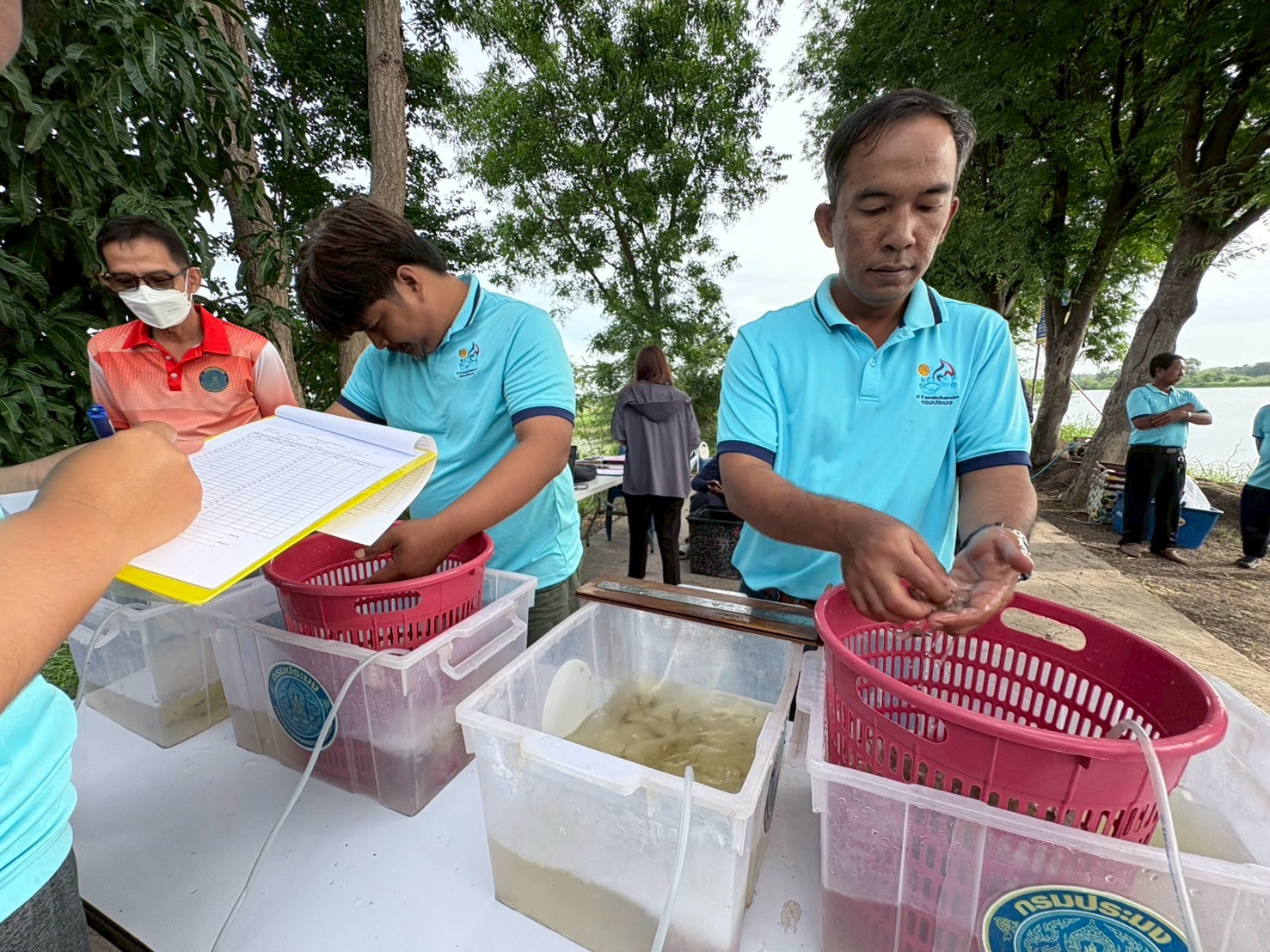 ร่วมปล่อยพันธุ์สัตว์น้ำเศรษฐกิจ พันธุ์กุ้งก้ามกรามชดเชย ณ บึงห้วยคล้า ในพื้นที่อำเภอวิเศษชาญ หนองลาดใหญ่และหนองคชบาล ในพื้นที่อำเภอไชโย จังหวัดอ่างทอง..คลิก