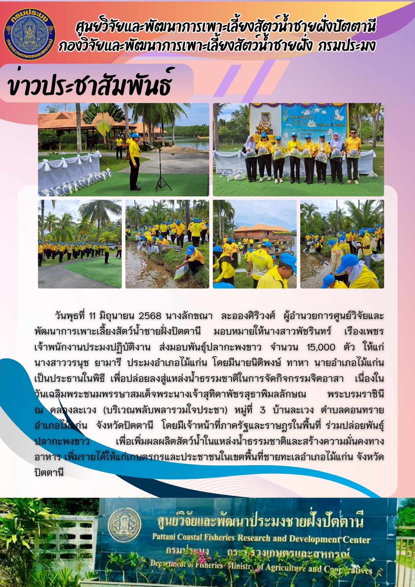 กิจกรรมปล่อยพันธุ์ปลากะพงขาว จำนวน 15,000 ตัว  บริเวณคลองบ้านละเวง ต.ดอนทราย อ.ไม้แก่น จ.ปัตตานี..คลิก