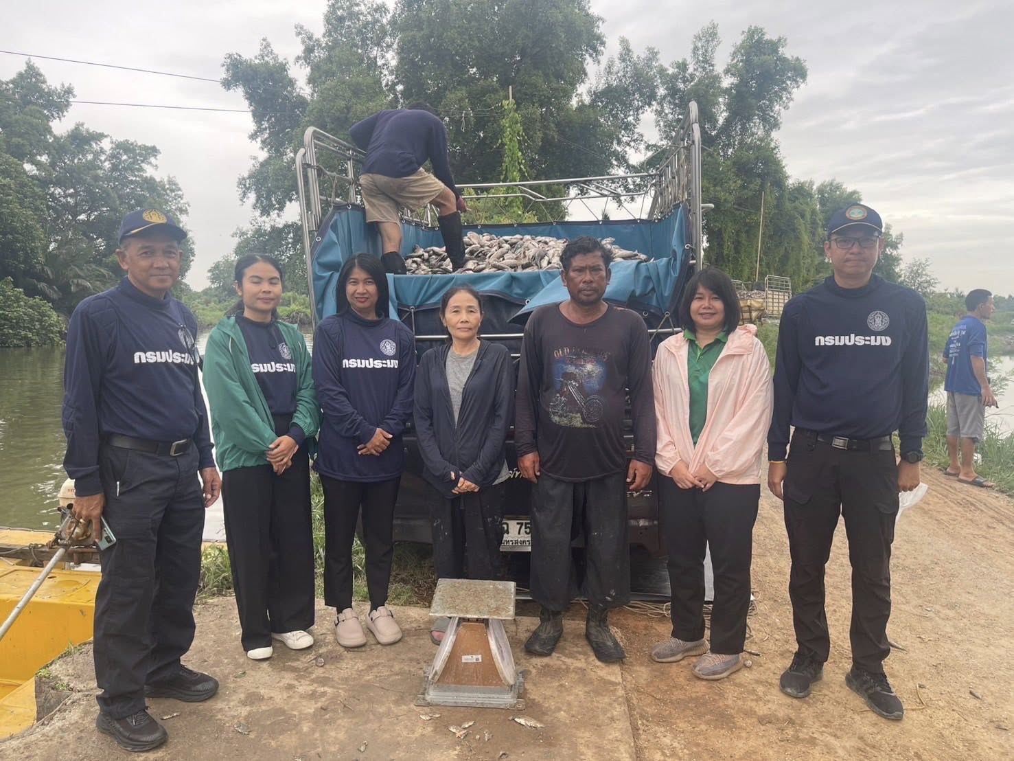 สำนักงานประมงพื้นที่กรุงเทพมหานคร ลงพื้นที่รับซื้อปลาหมอคางดำ ตามโครงการควบคุมและกำจัดประชากรปลาหมอคางดำ ปีงบประมาณ 2568