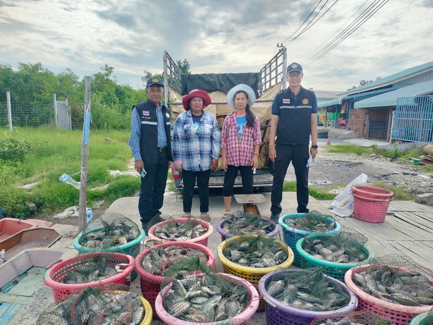 สำนักงานประมงพื้นที่กรุงเทพมหานคร ลงพื้นที่รับซื้อปลาหมอคางดำ ตามโครงการควบคุมและกำจัดประชากรปลาหมอคางดำ ปีงบประมาณ 2568