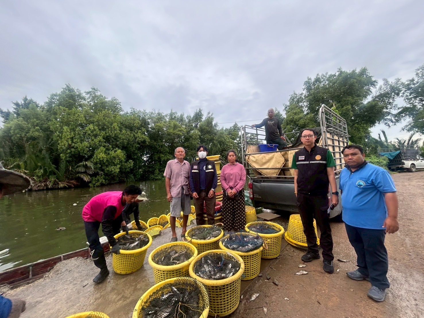 สำนักงานประมงพื้นที่กรุงเทพมหานคร ลงพื้นที่รับซื้อปลาหมอคางดำ ตามโครงการควบคุมและกำจัดประชากรปลาหมอคางดำ ปีงบประมาณ 2568