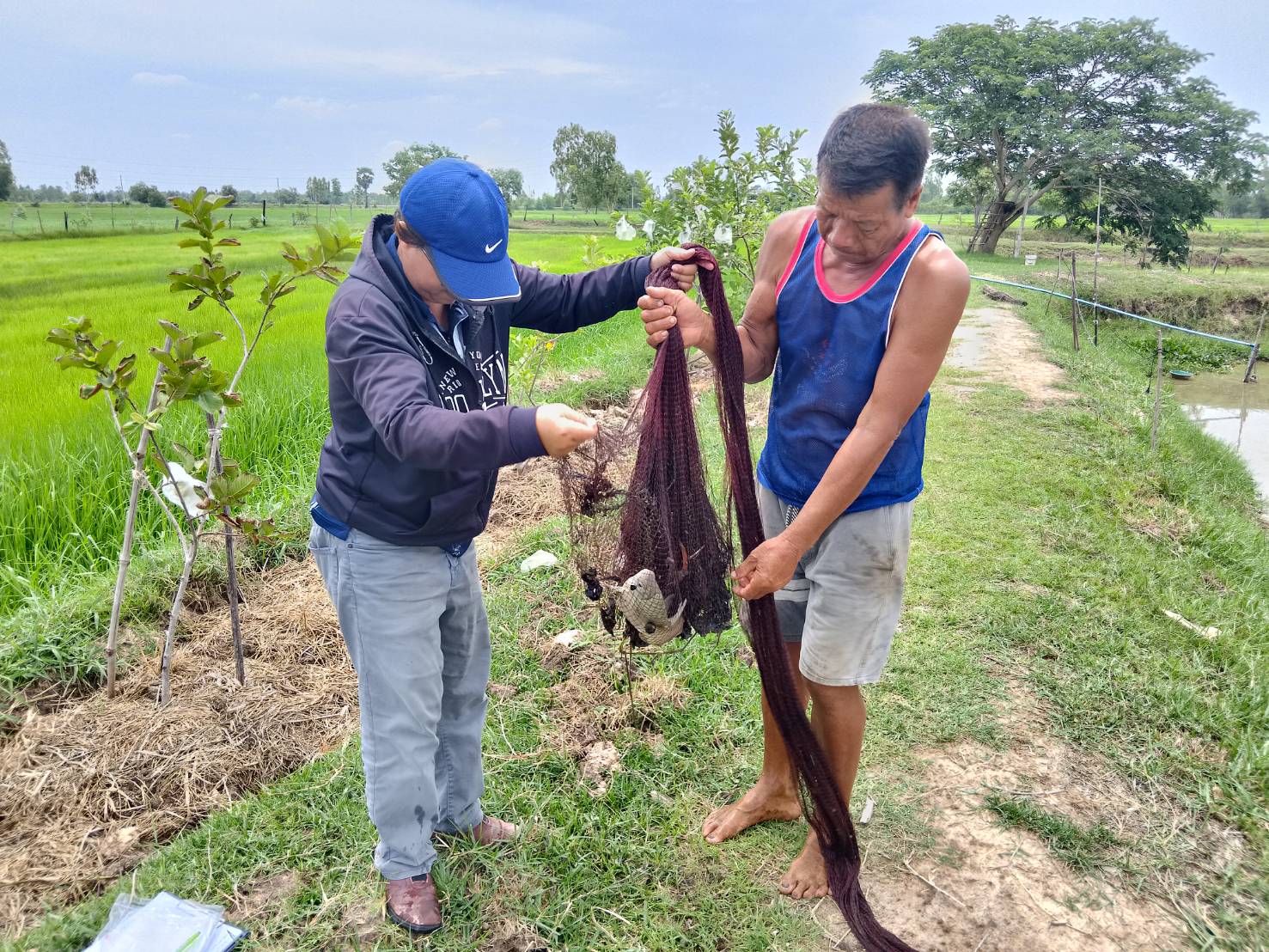 ตรวจประเมินฟาร์มเกษตรกรที่เข้าร่วมโครงการ ในโครงการยกระดับคุณภาพมาตรฐานสินค้าเกษตร ปีงบประมาณ 2568..คลิก