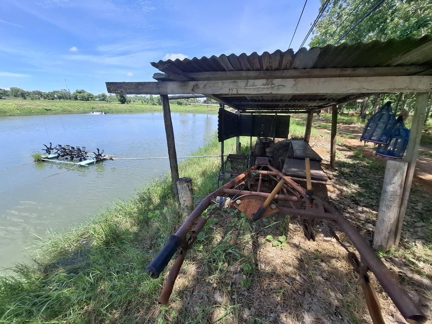เข้าแนะนำให้ความรู้ด้านการเพาะเลี้ยงสัตว์น้ำและรับขึ้นทะเบียนเกษตรผู้เลี้ยงสัตว์น้ำ..คลิก