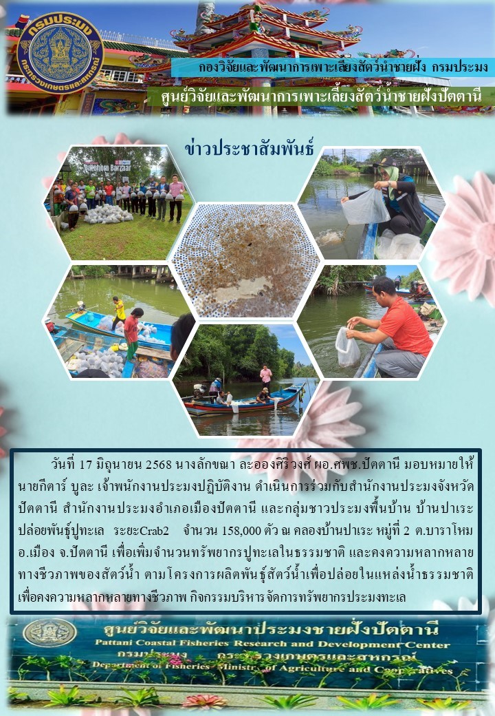 กิจกรรมปล่อยพันธุ์ปูทะเล จำนวน 158,000 ตัว บริเวณ คลองบ้านปาเระ ม.2 ต.บาราโหม อ.เมือง จ.ปัตตานี..คลิก