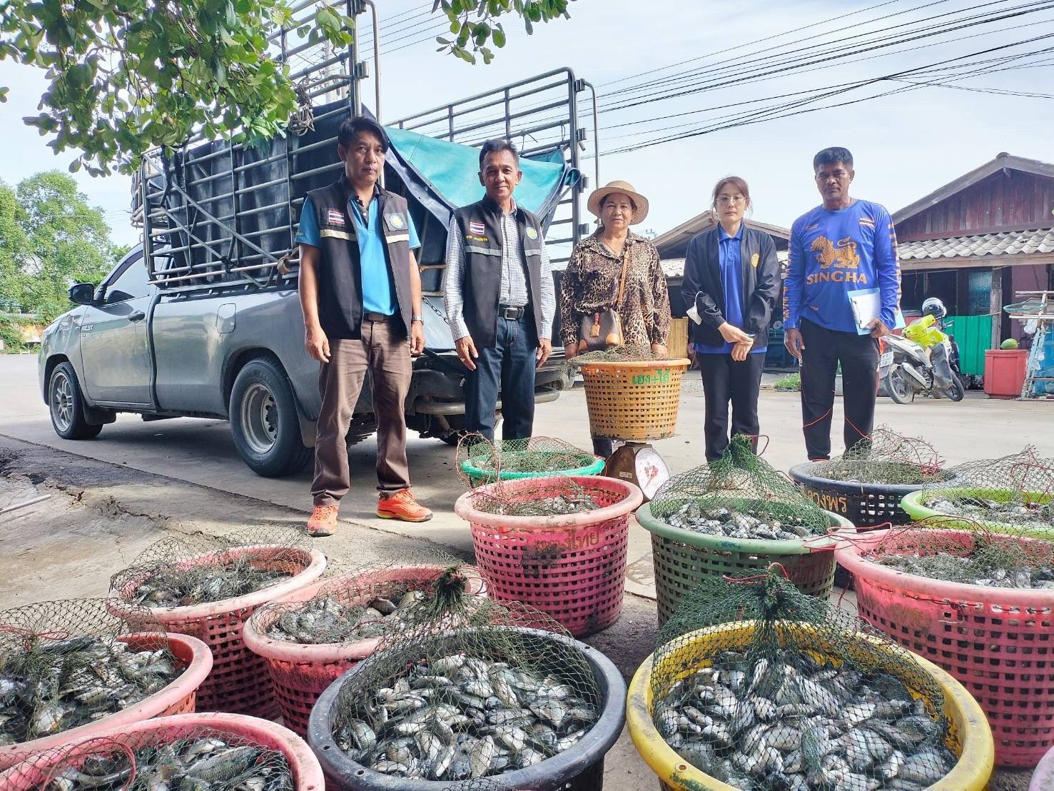 สำนักงานประมงพื้นที่กรุงเทพมหานคร ลงพื้นที่รับซื้อปลาหมอคางดำ ตามโครงการควบคุมและกำจัดประชากรปลาหมอคางดำ ปีงบประมาณ 2568