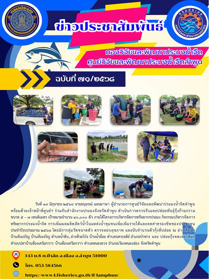วันที่ 19 มิถุนายน 2568 นายอนุสรณ์ แสนอาษา ผู้อำนวยการศูนย์วิจัยและพัฒนาประมงน้ำจืดลำพูน พร้อมด้วยเจ้าหน้าที่ศูนย์ฯ ร่วมกับสำนักงานประมงจังหวัดลำพูน ดำเนินการตรวจรับและปล่อยพันธุ์กุ้งก้ามกราม ขนาด 5 – 7 เซนติเมตร เป้าหมายจำนวน 40,000 ตัว ภายใต้โครงการบริหารจัดการทรัพยากรประมง กิจกรรมบริหารจัดการทรัพยากรประมงน้ำจืด การเพิ่มผลผลิตสัตว์น้ำในแหล่งน้ำชุมชนเพื่อเพิ่มรายได้และลดค่าครองชีพของประชาชน ประจำปีงบประมาณ 2568 โดยมีการสุ่มวัดขนาดตัว ตรวจสอบสุขภาพ และนับจำนวนตัวกุ้งที่ปล่อย ณ อ่างเก็บน้ำบ้านสันเจริญ บ้านสันเจริญ ตำบลน้ำดิบ, อ่างห้วยโป่ง บ้านน้ำย้อย ตำบลนครเจดีย์ อำเภอป่าซาง และ ปล่อยกุ้งชดเชยให้แก่ ทำนบปลาบ้านล้องเครือกวาว บ้านล้องเครือกวาว ตำบลหนองยวง อำเภอเวียงหนองล่อง จังหวัดลำพูน..คลิก