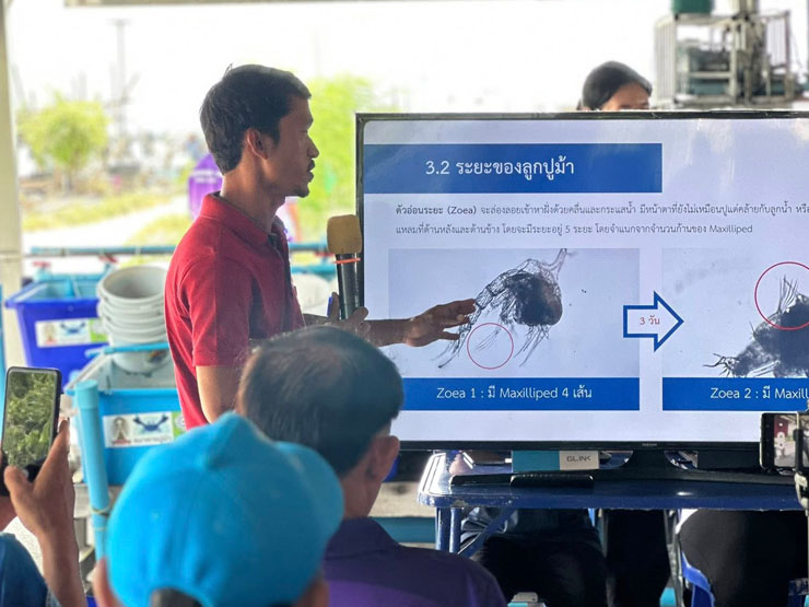 เจ้าหน้าที่ของศพช.ฉะเชิงเทรา เข้าร่วมเป็นวิทยากรบรรยายในหัวข้อ “การเพาะเลี้ยงและอนุบาลปูม้า” ณ กลุ่มประมงเรือเล็กอ่างศิลา ตำบลอ่างศิลา อำเภอเมือง จังหวัดชลบุรี