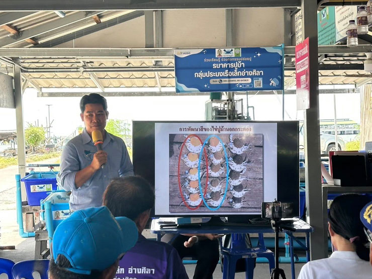 เจ้าหน้าที่ของศพช.ฉะเชิงเทรา เข้าร่วมเป็นวิทยากรบรรยายในหัวข้อ “การเพาะเลี้ยงและอนุบาลปูม้า” ณ กลุ่มประมงเรือเล็กอ่างศิลา ตำบลอ่างศิลา อำเภอเมือง จังหวัดชลบุรี
