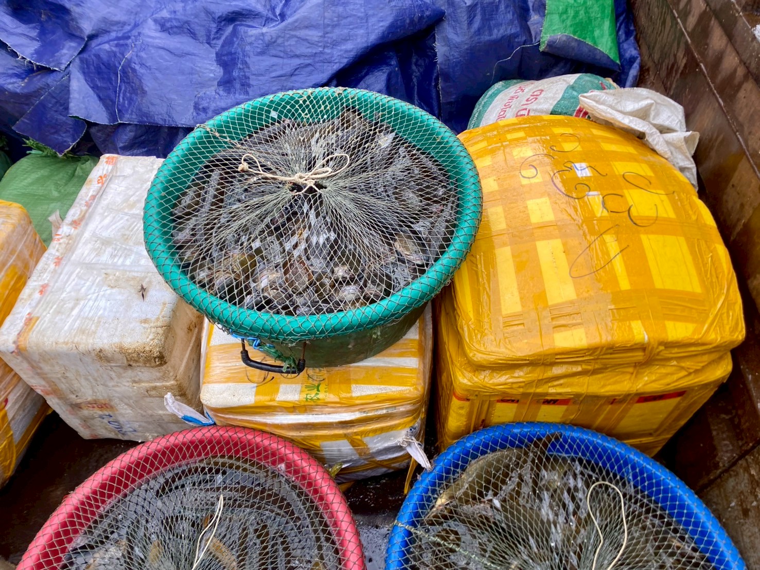 ตรวจสินค้าประมงที่นำเข้า ส่งออก ทางจุดผ่านแดนถาวรบ้านหนองเอี่ยน