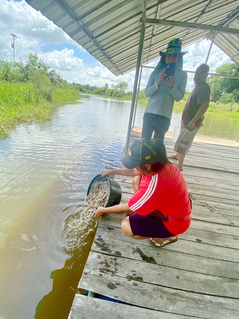 ร่วมตรวจรับและปล่อยพันธุ์กุ้งก้ามกราม ลงแหล่งน้ำในพื้นที่จังหวัดพัทลุง..คลิก