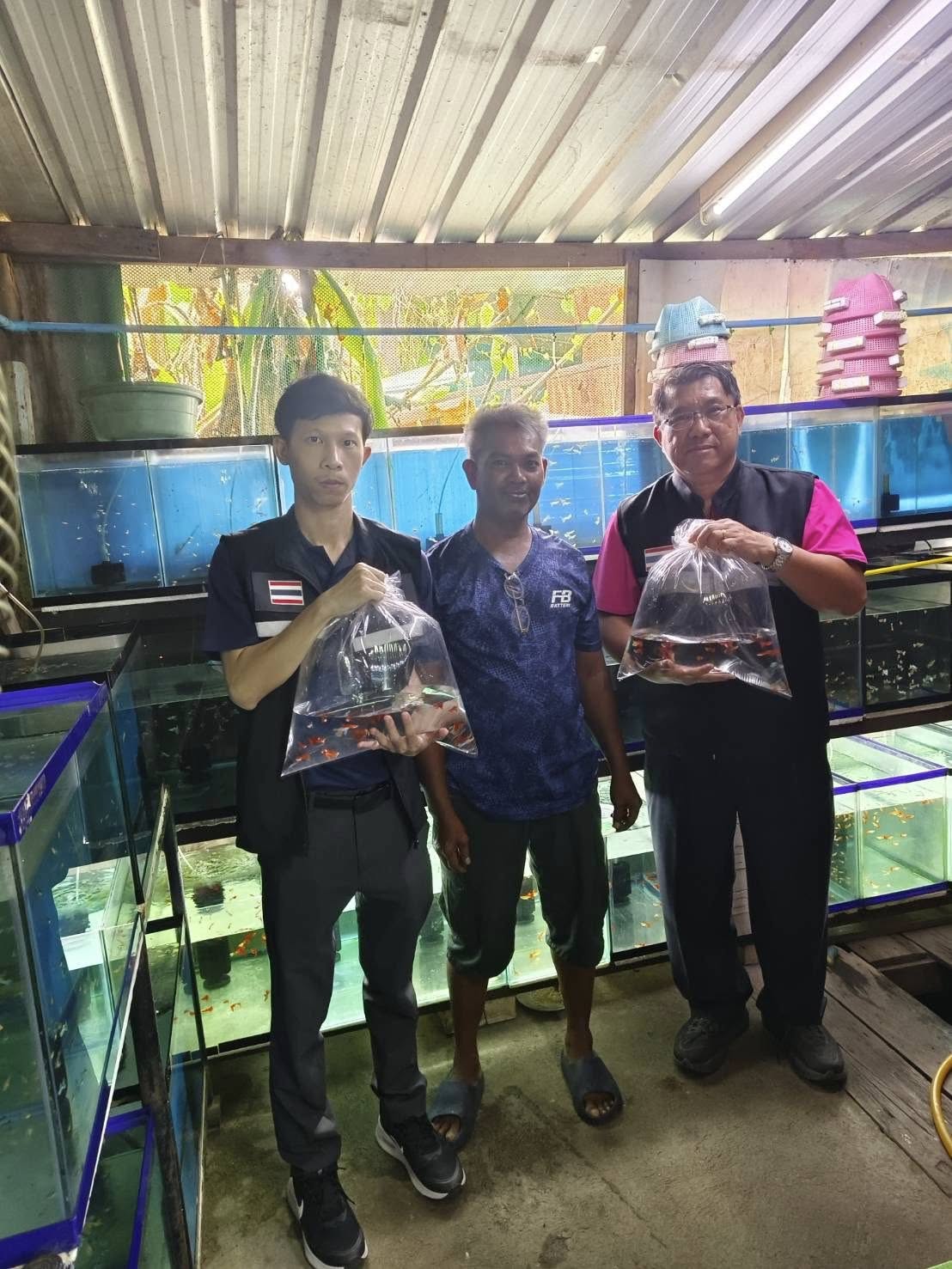 สำนักงานประมงพื้นที่กรุงเทพมหานคร ติดตาม ตรวจเยี่ยมฟาร์มเพาะพันธุ์ปลาหางนกยูง พร้อมเก็บตัวอย่างสัตว์น้ำจากฟาร์มนำส่งห้องปฏิบัติการวิเคราะห์โรคสัตว์น้ำ กองวิจัยและพัฒนาสุขภาพสัตว์น้ำ