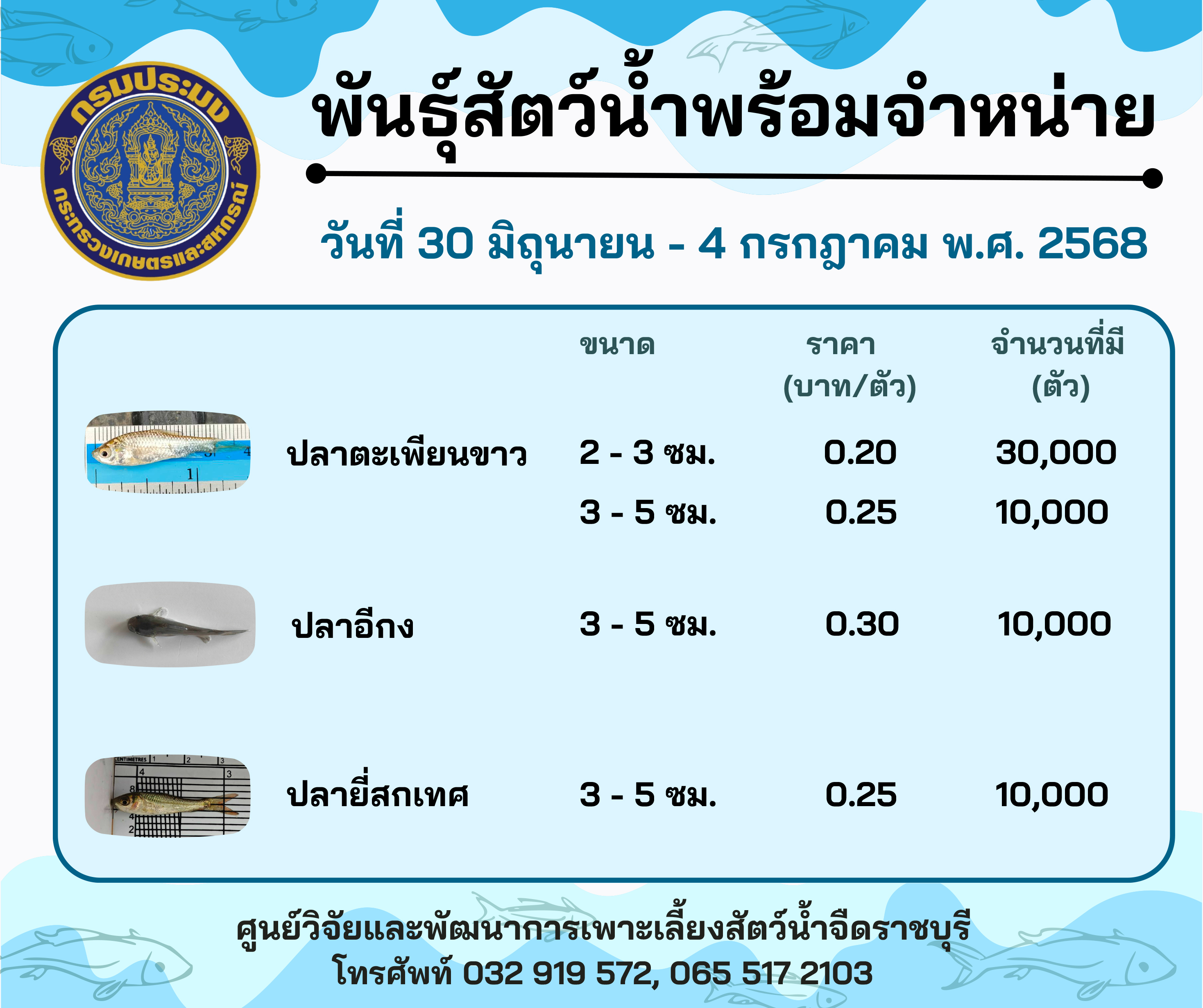 ลูกพันธุ์สัตว์น้ำพร้อมจำหน่ายสัปดาห์นี้ วันที่ 30 มิถุนายน - 4 กรกฎาคม พ.ศ. 2568..คลิก