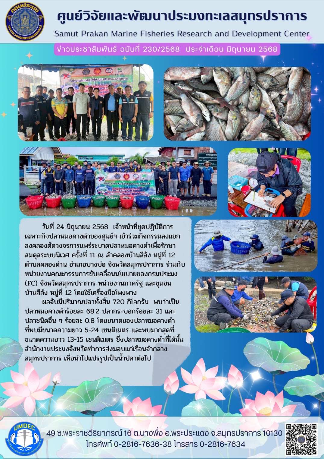 วันที่ 24 มิถุนายน 2568 เจ้าหน้าที่ชุดปฏิบัติการเฉพาะกิจปลาหมอคางดำของศูนย์ฯ เข้าร่วมกิจกรรมลงแขกลงคลองตัดวงจรการแพร่ระบาดปลาหมอคางดำเพื่อรักษาสมดุลระบบนิเวศ ครั้งที่ 11 ณ ลำคลองบ้านสีลัง หมู่ที่ 12 ตำบลคลองด่าน อำเภอบางบ่อ จังหวัดสมุทรปราการ ฯลฯ