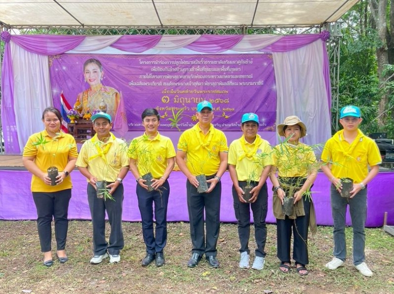 เข้าร่วมโครงการนำร่องการปลูกไผ่หนามเป็นรั้วธรรมชาติเสริมแนวคูกันช้าง..คลิก