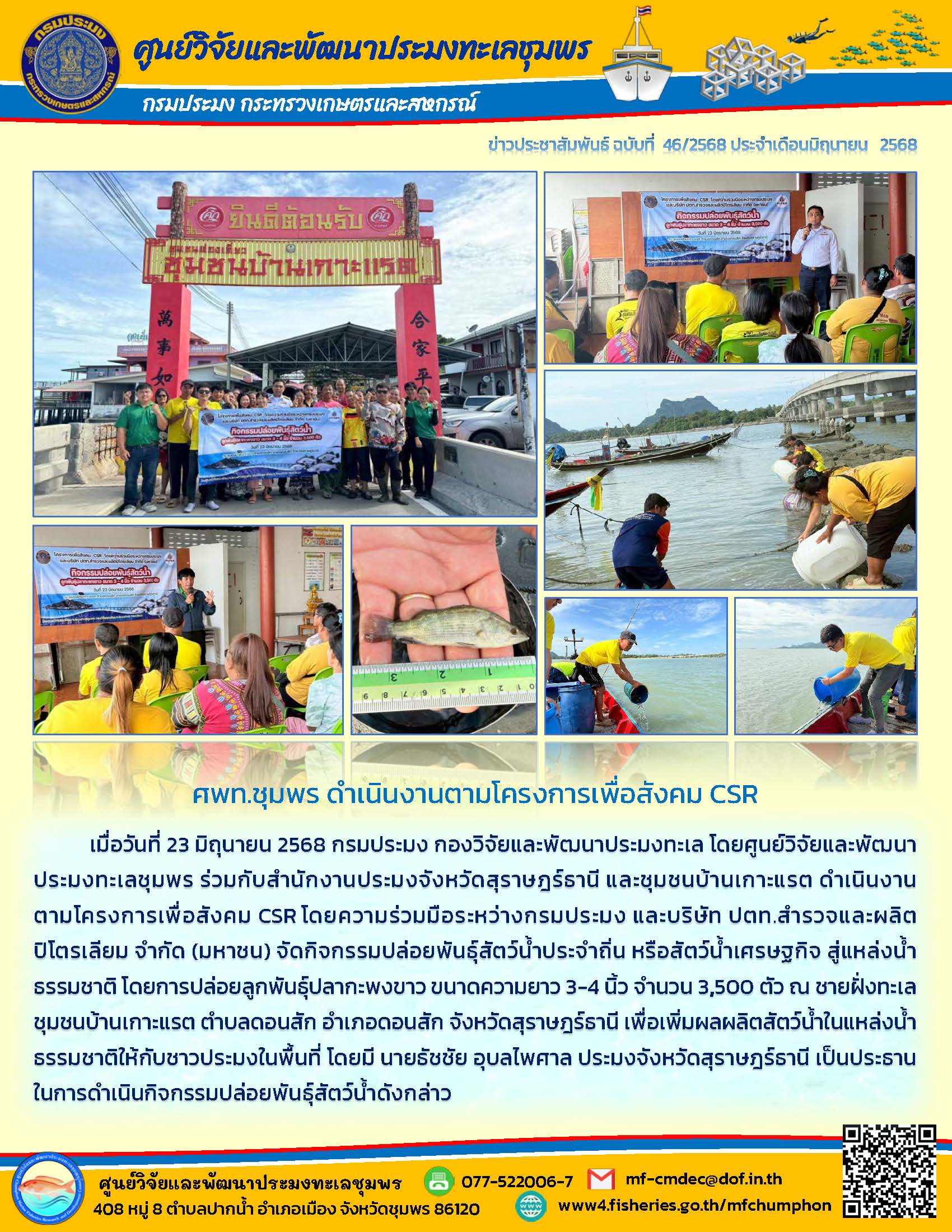 เมื่อวันที่ 23 มิถุนายน 2568 กรมประมง กองวิจัยและพัฒนาประมงทะเล โดยศูนย์วิจัยและพัฒนาประมงทะเลชุมพร ร่วมกับสำนักงานประมงจังหวัดสุราษฎร์ธานี และชุมชนบ้านเกาะแรต ดำเนินงานตามโครงการเพื่อสังคม CSR โดยความร่วมมือระหว่างกรมประมง และบริษัท ปตท.สำรวจและผลิต ปิโตรเลียม จำกัด (มหาชน) ฯลฯ