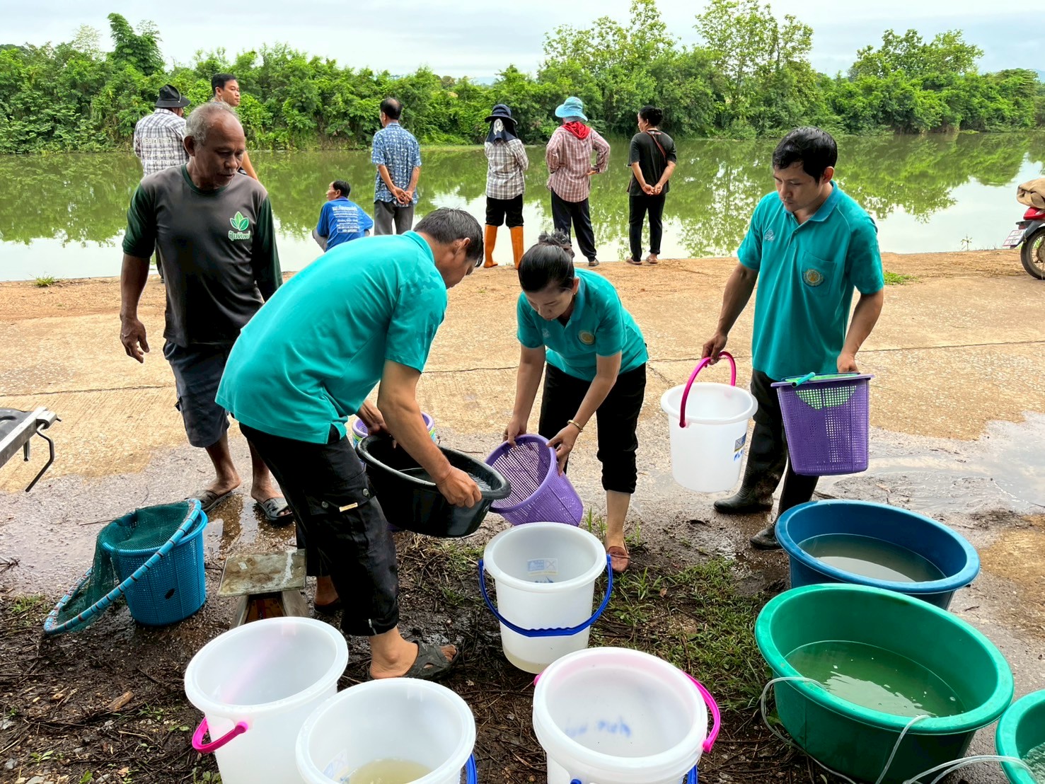 โครงการบริหารจัดการทรัพยากรประมง กิจกรรมเพิ่มผลผลิตสัตว์น้ำในแหล่งน้ำชุมชน เพื่อเพิ่มรายได้และลดค่าครองชีพของประชาชน ประจำปีงบประมาณ พ.ศ.2568..คลิก